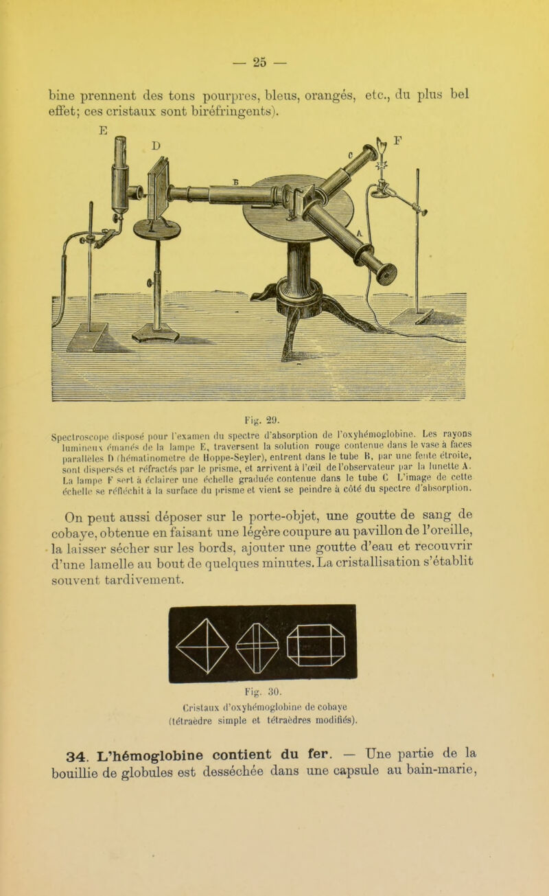 bine prennent des tons pourpres, bleus, orangés, etc., du plus bel elBfet; ces cristaux sont biréfringents). E Fig. 29. Spectroscopc disposé pour l'examen ilii spectre dabsorplion de roxyhénio<;Iobine. Les rayons lumineux (^mant^s de la lampe K, traversent la solution rouge contenue dans le vase à faces parallèles D fhf^matinomelre de Hoppe-Seyler), entrent dans le tube B, par une fente étroite, sont dispersés et réfractés par le prisme, et arrivent à l'œil de l'observateur par la lunette A. La lampe K sert à éclairer une échelle graduée contenue dans le tube C L'image de cette échelle se rélléchit à la surface du prisme et vient se peindre à côté du spectre d'absorption. On peut aussi déposer sur le porte-objet, une goutte de sang de cobaye, obtenue en faisant une légère coupure au pavillon de l'oreille, la laisser sécher sur les bords, ajouter une goutte d'eau et recouvrir d'une lamelle au bout de quelques minutes. La cristallisation s'établit souvent tardivement. Fig. 30. Cristaux d'oxyhémoglobine de cobaye (tétraèdre simple et tétraèdres modifiés). 34. L'hémoglobine contient du fer. — Une partie de la bouillie de globules est desséchée dans une capsule au bain-marie.