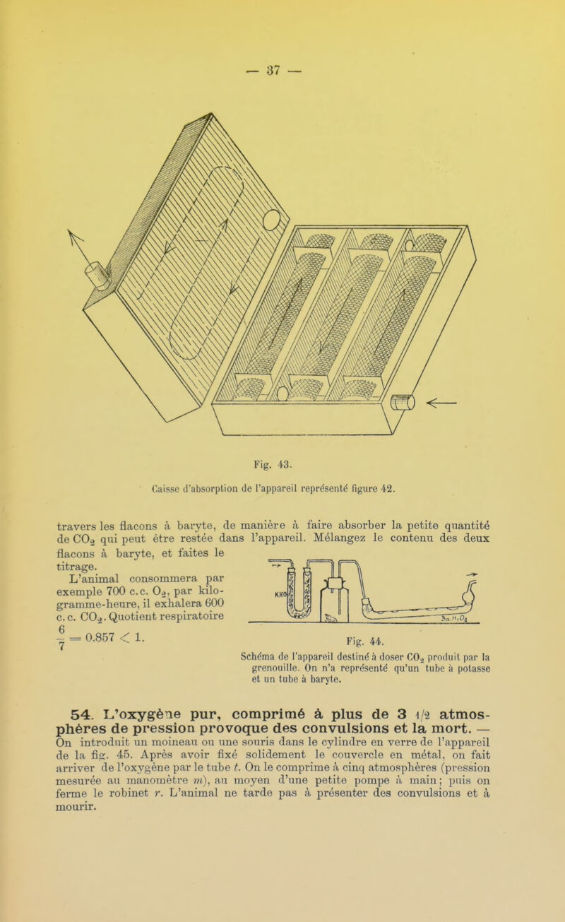 Caisse d'absorption de l'appareil représenté figure 42. travers les flacons à bai-yte, de manière à faire absorber la petite quantité de COo qui peut être restée dans l'appareil. Mélangez le contenu des deux flacons à baryte, et faites le titrage. L'animal consommera par exemple 700 ce. 0-2, par kilo- gramme-heure, il exhalera 600 ce. CO^. Quotient respiratoire g - = 0.867 < 1. Fjg Schéma de l'appareil destiné ii doser CO» produit par la grenouille. On n'a représenté qu'un tube à potasse et un tube à baryte. 54. L'oxygène pur, comprimé à plus de 3 4/2 atmos- phères de pression provoque des convulsions et la mort. — On introduit un moineau ou une souris dans le cylindre en verre de l'appareil de la fio;. 45. Après avoir fixé solidement le couvercle en métal, on fait arriver de l'oxygène par le tube t. On le comprime à cinq atmosphères (pression mesurée au manomètre m), au moyen d'une petite pompe à main; puis on ferme le robinet r. L'animal ne tarde pas à présenter des convulsions et à mourir.