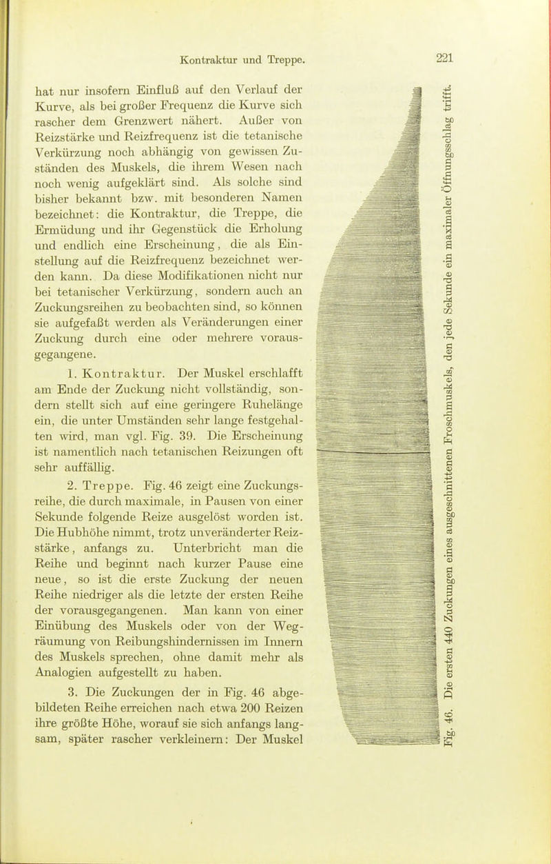 Kontraktur und Treppe. hat nur insofern Einfluß auf den Verlauf der Kurve, als bei großer Fi-equenz die Kurve sich rascher dem Grenzwert nähert. Außer von Reizstärke und Reizfrequenz ist die tetanische Verkürzung noch abhängig von gewissen Zu- ständen des Muskels, die ihrem Wesen nach noch wenig aufgeklärt sind. Als solche smd bisher bekamit bzw. mit besonderen Namen bezeichnet: die Kontraktur, die Treppe, die Ermüdung und ihr Gegenstück die Erholung und endlich eine Erscheinung, die als Ein- stellmig auf die Reizfrequenz bezeichnet wer- den kann. Da diese Modifikationen nicht nur bei tetanischer Verkürzmig, sondern auch an Zuckungsreihen zu beobachten sind, so köimen sie aufgefaßt werden als Veränderungen einer Zuckung durcli eine oder mehrere voraus- gegangene. 1. Kontraktur. Der Muskel erschlafft am Ende der Zuckung nicht vollständig, son- dern stellt sich auf eine geringere Ruhelänge ein, die unter Umständen sehr lange festgehal- ten wd, man vgl. Fig. 39. Die Erscheinung ist namentüch nach tetanischen Reizungen oft sehr auffällig. 2. Treppe. Fig. 46 zeigt eme Zuckungs- reihe, die durch maximale, in Pausen von einer Sekunde folgende Reize ausgelöst worden ist. Die Hubhöhe nimmt, trotz unveränderter Reiz- stärke , anfangs zu. Unterbricht man die Reihe und beginnt nach kurzer Pause eine neue, so ist die erste Zuckung der neuen Reihe niedriger als die letzte der ersten Reihe der vorausgegangenen. Man kann von einer Einübung des Muskels oder von der Weg- räumimg von Reibungshindernissen im Innern des Muskels sprechen, ohne damit mehr als Analogien aufgestellt zu haben. 3. Die Zuckungen der in Fig. 46 abge- bildeten Reihe erreichen nach etwa 200 Reizen ihre größte Höhe, worauf sie sich anfangs lang- sam, später rascher verkleinern: Der Muskel