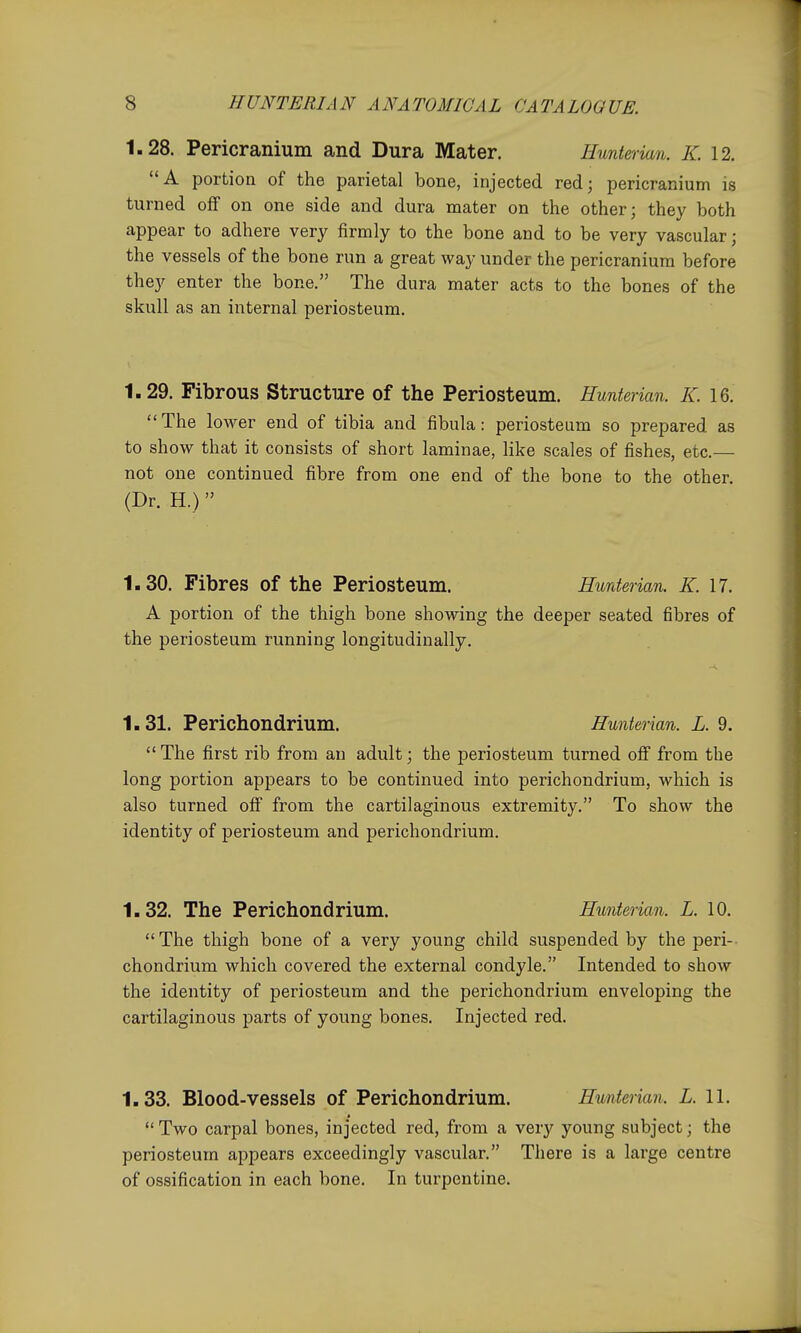 1.28. Pericranium and Dura Mater. Huntei •ian. K. 12. A portion of the parietal bone, injected red; pericranium is turned off on one side and dura mater on tlie other; they both appear to adhere very firmly to the bone and to be very vascular; the vessels of the bone run a great way under the pericranium before they enter the bone. The dura mater acts to the bones of the skull as an internal periosteum. 1.29. Fibrous Structure of the Periosteum. Hunterian. K. 16. The lower end of tibia and fibula: periosteum so prepared as to show that it consists of short laminae, like scales of fishes, etc.— not one continued fibre from one end of the bone to the other. (Dr. H.)  1.30. Fibres of the Periosteum. Hunterian. K. 17. A portion of the thigh bone showing the deeper seated fibres of the periosteum running longitudinally. 1.31. Perichondrium. Hunterian. L. 9. The first rib from an adult; the periosteum turned off from the long portion appears to be continued into perichondrium, which is also turned off from the cartilaginous extremity. To show the identity of periosteum and perichondrium. 1.32. The Perichondrium. Hunterian. L. 10. The thigh bone of a very young child suspended by the peri- chondrium which covered the external condyle. Intended to show the identity of periosteum and the perichondrium enveloping the cartilaginous parts of young bones. Injected red. 1.33. Blood-vessels of Perichondrium. Hunterian. L. 11.  Two carpal bones, injected red, from a very young subject; the periosteum appears exceedingly vascular. There is a large centre of ossification in each bone. In turpentine.
