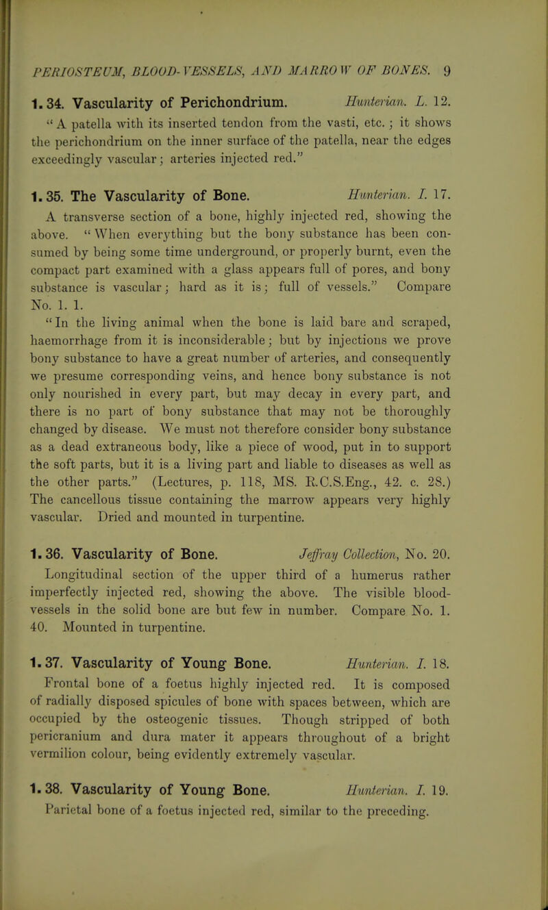1.34. Vascularity of Perichondrium. Hunterian. L. 12.  A patella with its inserted tendon from the vasti, etc.; it shows the perichondrium on the inner surface of the patella, near the edges exceedingly vascular; arteries injected red. 1.35. The Vascularity of Bone. Hunterian. I. 17. A transverse section of a bone, highly injected red, showing the above.  When everything but the bony substance has been con- sumed by being some time underground, or properly burnt, even the compact part examined with a glass appears full of pores, and bony substance is vascular; hard as it is; full of vessels. Compare No. 1. 1. In the living animal when the bone is laid bare and scraped, haemorrhage from it is inconsiderable; but by injections we prove bony substance to have a great number of arteries, and consequently we presume corresponding veins, and hence bony substance is not only nourished in every part, but may decay in every part, and there is no part of bony substance that may not be thoroughly changed by disease. We must not therefore consider bony substance as a dead extraneous body, like a piece of wood, put in to support the soft parts, but it is a living part and liable to diseases as well as the other parts. (Lectures, p. 118, MS. RC.S.Eng., 42. c. 28.) The cancellous tissue containing the marrow appears very highly vascular. Dried and mounted in turpentine. 1.36. Vascularity of Bone. Jeffray Collection, No. 20. Longitudinal section of the upper third of a humerus rather imperfectly injected red, showing the above. The visible blood- vessels in the solid bone are but few in number. Compare No. 1. 40. Mounted in turpentine. 1.37. Vascularity of Young Bone. Hunterian. I. 18. Frontal bone of a foetus highly injected red. It is composed of radially disposed spicules of bone with spaces between, Avhich are occupied by the osteogenic tissues. Though stripped of both pericranium and dura mater it appears throughout of a bright vermilion colour, being evidently extremely vascular. 1.38. Vascularity of Young Bone. Hunterian. I. 19. Parietal bone of a foetus injected red, similar to the preceding.