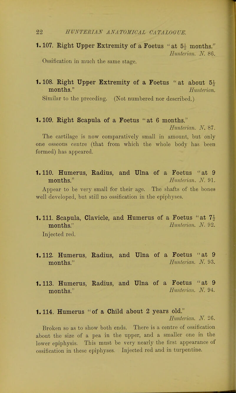 1.107. Right Upper Extremity of a Foetus at ^ months. Hunterian. N. 86. Ossification in much the same stage. 1.108. Rig-ht Upper Extremity of a Foetus at about 5^ months. Eunterian. Similar to the preceding. (Not numbered nor described.) 1.109. Right Scapula of a Foetus at 6 months. Himterian. N. 87. The cartilage is now comparatively small in amount, but only one osseous centre (that from which the whole body has been formed) has appeared. 1.110. Humerus, Radius, and Ulna of a Foetus at 9 months. Eunterian. N. 91. Appear to be very small for their age. The shafts of the bones well developed, but still no ossification in the ejDiphyses. 1.111. Scapula, Clavicle, and Humerus of a Foetus at 7| months. Eunterian. N. 92. Injected red. 1.112. Humerus, Radius, and Ulna of a Foetus at 9 months. Eunterian. N. 93. 1.113. Humerus, Radius, and Ulna of a Foetus at 9 months. Eunterian. N. 94. 1.114. Humerus of a Child about 2 years old. Eunterian. N. 26. Broken so as to show both ends. There is a centre of ossification about the size of a pea in the upper, and a smaller one in the lower epiphysis. This must be very nearly the first appearance of ossification in these epiphyses. Injected red and in turpentine.
