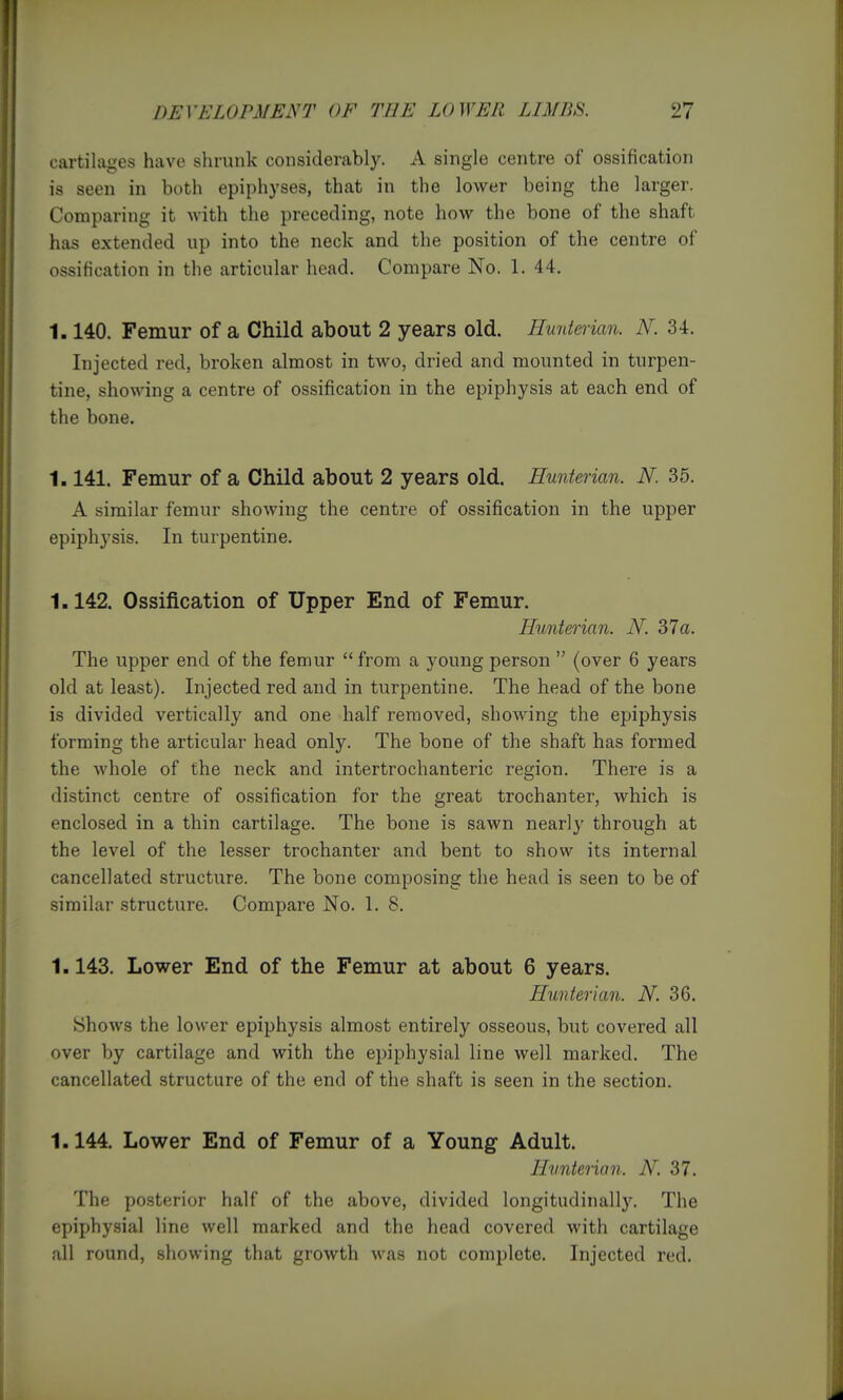 cartilages have shrunk considerably. A single centre of ossification is seen in both epiphyses, that in the lower being the larger. Comparing it with the preceding, note how the bone of the shaft has extended up into the neck and the position of the centre of ossification in the articular head. Compare No. 1. 44. 1.140. Femur of a Child about 2 years old. Huntman. N. 34. Injected red, broken almost in two, dried and mounted in turpen- tine, showing a centre of ossification in the epiphysis at each end of the bone. 1.141. Femur of a Child about 2 years old. Hunterian. N. 35. A similar femur showing the centre of ossification in the upper epiphysis. In turpentine. 1.142. Ossification of Upper End of Femur. Hunterian. N. 37a. The upper end of the femur  from a young person  (over 6 years old at least). Injected red and in turpentine. The head of the bone is divided vertically and one half removed, showing the epiphysis forming the articular head only. The bone of the shaft has formed the whole of the neck and intertrochanteric region. There is a distinct centre of ossification for the great trochanter, which is enclosed in a thin cartilage. The bone is sawn nearly through at the level of the lesser trochanter and bent to show its internal cancellated structure. The bone composing the head is seen to be of similar structure. Compare No. 1. 8. 1.143. Lower End of the Femur at about 6 years. Hunterian. iV, 36. Shows the lower epiphysis almost entirely osseous, but covered all over by cartilage and with the epiphysial line well marked. The cancellated structure of the end of the shaft is seen in the section. 1.144. Lower End of Femur of a Young Adult. Hunterian. N. 37. The posterior half of the above, divided longitudinally. The epiphysial line well marked and the head covered with cartilage all round, showing that growth was not complete. Injected red.