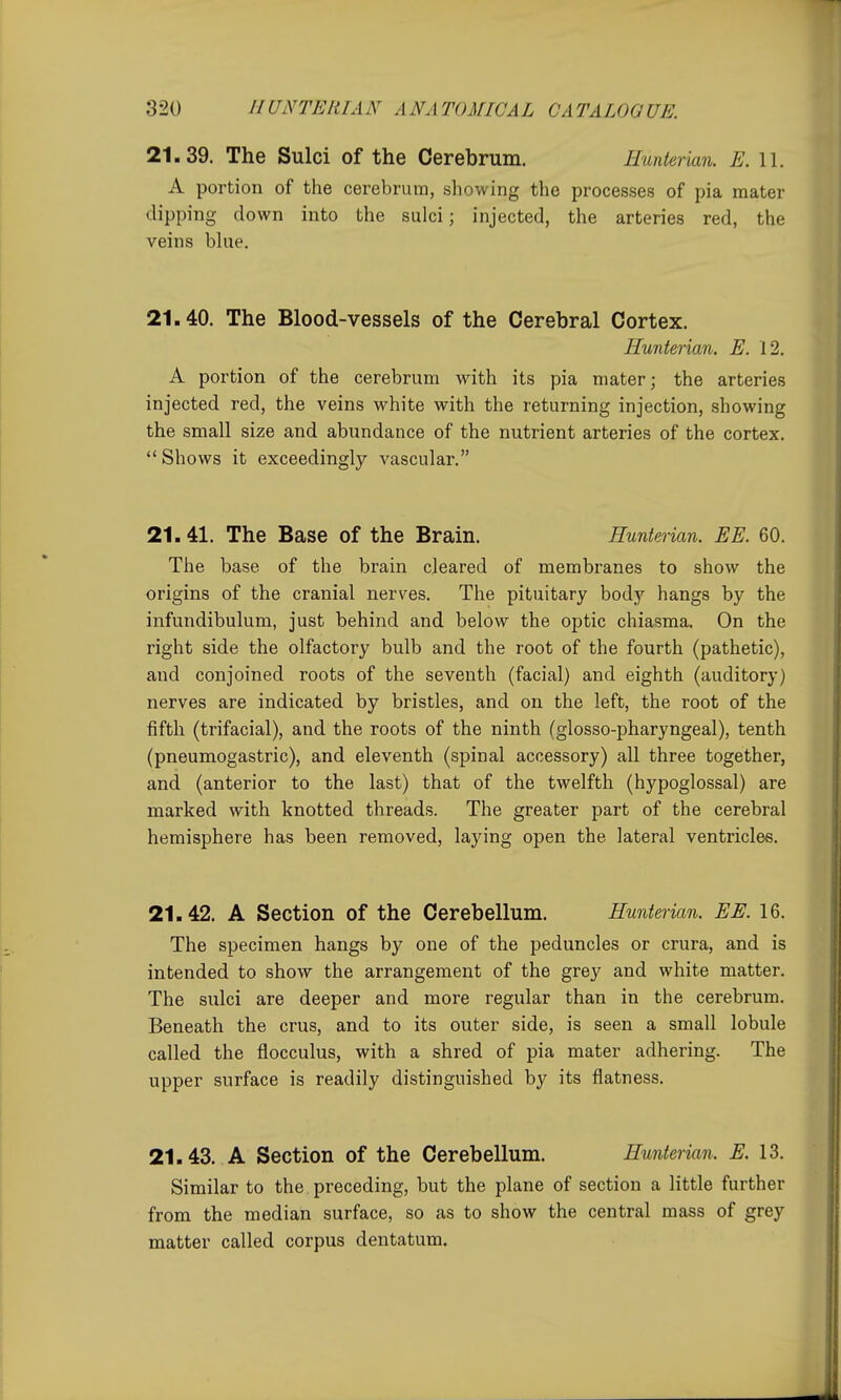 21.39. The Sulci of the Cerebrum. Hunterian. E. 11. A portion of the cerebrum, showing the processes of pia mater dipping down into the sulci; injected, the arteries red, the veins blue. 21.40. The Blood-vessels of the Cerebral Cortex. Hunterian. E. 12. A portion of the cerebrum with its pia mater; the arteries injected red, the veins white with the returning injection, showing the small size and abundance of the nutrient arteries of the cortex.  Shows it exceedingly vascular. 21.41. The Base of the Brain. Hunterian. EE. 60. The base of the brain cleared of membranes to show the origins of the cranial nerves. The pituitary body hangs by the infundibulum, just behind and below the optic chiasma. On the right side the olfactory bulb and the root of the fourth (pathetic), and conjoined roots of the seventh (facial) and eighth (auditory) nerves are indicated by bristles, and on the left, the root of the fifth (trifacial), and the roots of the ninth (glosso-pharyngeal), tenth (pneumogastric), and eleventh (spinal accessory) all three together, and (anterior to the last) that of the twelfth (hypoglossal) are marked with knotted threads. The greater part of the cerebral hemisphere has been removed, laying open the lateral ventricles. 21.42. A Section of the Cerebellum. Hunterian. EE. 16. The specimen hangs by one of the peduncles or crura, and is intended to show the arrangement of the grey and white matter. The sulci are deeper and more regular than in the cerebrum. Beneath the crus, and to its outer side, is seen a small lobule called the flocculus, with a shred of pia mater adhering. The upper surface is readily distinguished by its flatness. 21.43. A Section of the Cerebellum. Hunterian. E. 13. Similar to the preceding, but the plane of section a little further from the median surface, so as to show the central mass of grey matter called corpus dentatum.
