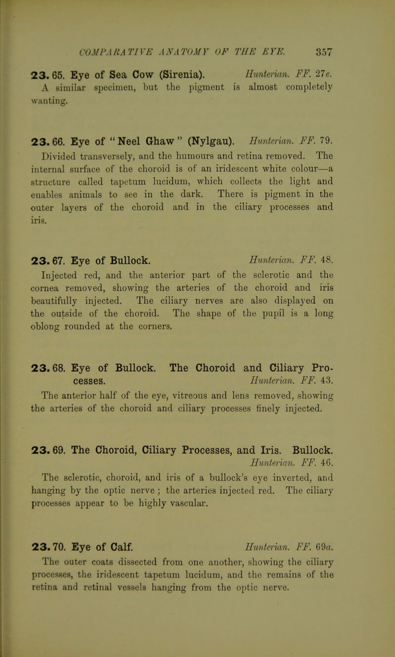 23. 65. Eye of Sea Cow (Sirenia). Huntenan. FF. 27e. A similar specimen, but the pigment is almost completely wanting. 23.66. Eye of  Neel Ghaw  (Nylgau). Hunterian. FF. 79. Divided transversely, and the humours and retina removed. The internal surface of the choroid is of an iridescent white colour—a structure called tapetum lucidum, which collects the light and enables animals to see in the dark. There is pigment in the outer layers of the choroid and in the ciliary processes and iris. 23. 67. Eye of Bullock. Hunterian. FF. 48. Injected red, and the anterior part of the sclerotic and the cornea removed, showing the arteries of the choroid and iris beautifully injected. The ciliary nerves are also displayed on the outside of the choroid. The shape of the pupil is a long oblong rounded at the corners. 23.68. Eye of Bullock. The Choroid and Ciliary Pro- cesses. Hwiterian. FF. 43. The anterior half of the eye, vitreous and lens removed, showing the arteries of the choroid and ciliary processes finely injected. 23.69. The Choroid, Ciliary Processes, and Iris. Bullock. Hunterian. FF. 46. The sclerotic, choroid, and iris of a bullock's eye inverted, and hanging by the optic nerve ; the arteries injected red. The ciliary processes appear to be highly vascular. 23.70. Eye of Calf. Huntenan. FF. 69fl. The outer coats dissected from one another, showing the ciliary processes, the iridescent tapetum lucidum, and the remains of the retina and retinal vessels hanging from the optic nerve.