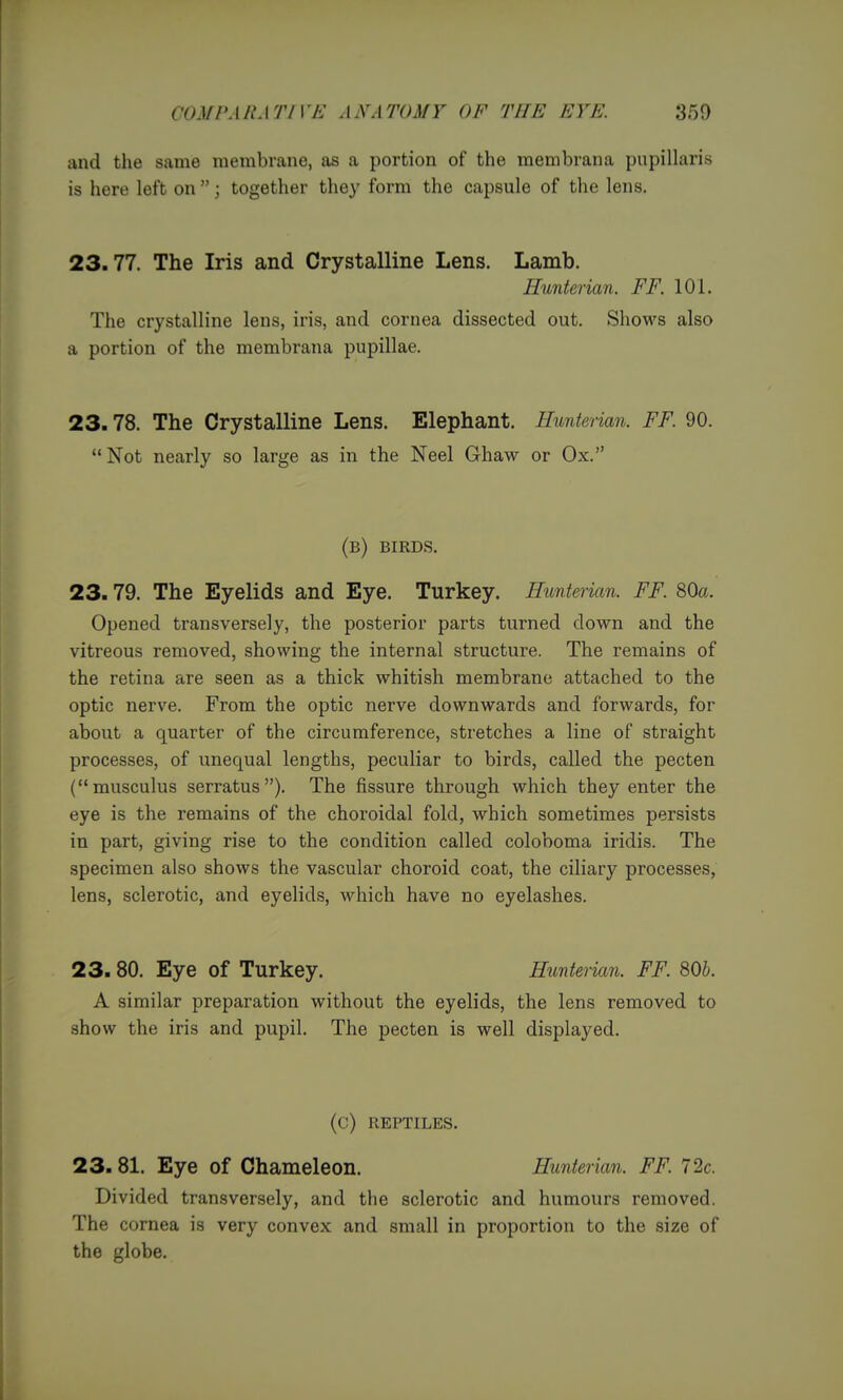 and the same membrane, as a portion of the membrana papillaris is here left on ; together they form the capsule of the lens. 23.77. The Iris and Crystalline Lens. Lamb. Hunterian. FF. 101. The crystalline lens, iris, and cornea dissected out. Shows also a portion of the membrana pupillae. 23.78. The Crystalline Lens. Elephant. Hunterian. FF. 90.  Not nearly so large as in the Neel Qhaw or Ox. (b) birds. 23.79. The Eyelids and Eye. Turkey. Hunterian. FF. 80a. Opened transversely, the posterior parts turned down and the vitreous removed, showing the internal structure. The remains of the retina are seen as a thick whitish membrane attached to the optic nerve. From the optic nerve downwards and forwards, for about a quarter of the circumference, stretches a line of straight processes, of unequal lengths, peculiar to birds, called the pecten (musculus serratus). The fissure through which they enter the eye is the remains of the choroidal fold, which sometimes persists in part, giving rise to the condition called coloboma iridis. The specimen also shows the vascular choroid coat, the ciliary processes, lens, sclerotic, and eyelids, which have no eyelashes. 23. 80. Eye of Turkey. Hunterian. FF. SOb. A similar preparation without the eyelids, the lens removed to show the iris and pupil. The pecten is well displayed. (C) REPTILES. 23.81. Eye of Chameleon. Hunterian. FF. 72c. Divided transversely, and the sclerotic and humours removed. The cornea is very convex and small in proportion to the size of the globe.