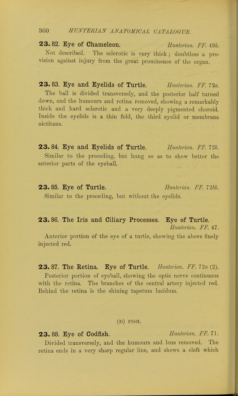 23.82. Eye of Chameleon. Hunterian. FF. 49^. Not described. The sclerotic is very thick; doubtless a pro- vision against injury from the great prominence of the organ. 23.83. Eye and Eyelids of Turtle. Hunterian. FF. I'ia. The ball is divided transversely, and the posterior half turned down, and the humours and retina removed, showing a remarkably thick and hard sclerotic and a very deeply pigmented choroid. Inside the eyelids is a thin fold, the third eyelid or membrana nictitans. 23. 84. Eye and Eyelids of Turtle. Hunterian. FF. 72b. Similar to the preceding, but hung so as to show better the anterior parts of the eyeball. 23.85. Eye of Turtle. Hunterian. FF. 12hh. Similar to the preceding, but without the eyelids. 23.86. The Iris and Ciliary Processes. Eye of Turtle. Hunterian. FF. 47. Anterior portion of the eye of a turtle, showing the above finelj'- injected red. 23.87. The Retina. Eye of Turtle. Hunterian. FF. 72a (2). Posterior portion of eyeball, showing the optic nerve continuous with the retina. The branches of the central artery injected red. Behind the retina is the shining tapetum lucidum. (d) fish. 23.88. Eye of Codfish. Hunterian. FF.7\. Divided transversely, and the humours and lens removed. The retina ends in a very sharp regular line, and shows a cleft which