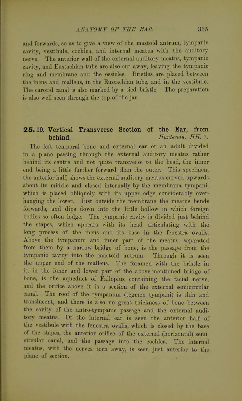 and forwards, so as to give a view of the mastoid antrum, tympanic cavity, vestibule, cochlea, and internal meatus with the auditory nerve. The anterior wall of the external auditory meatus, tympanic cavity, and Eustachian tube are also cut away, leaving the tympanic ring and membrane and the ossicles. Bristles are placed between the incus and malleus, in the Eustachian tube, and in the vestibule. The carotid canal is also marked by a tied bristle. The preparation is also well seen through the top of the jar. 25.10. Vertical Transverse Section of the Ear, from behind. Hunterian. HE. 7. The left temporal bone and external ear of an adult divided in a plane passing through the external auditory meatus rather behind its centre and not quite transverse to the head, the inner end being a little further forward than the outer. This specimen, the anterior half, shows the external auditory meatus curved upwards about its middle and closed internally by the membrana tympani, which is placed obliquel}'^ with its upper edge considerably over- hanging the lower. Just outside the membrane the meatus bends forwards, and dips down into the little hollow in which foreign bodies so often lodge. The tympanic cavity is divided just behind the stapes, which appears with its head articulating with the long process of the incus and its base in the fenestra ovalis. Above the tympanum and inner part of the meatus, separated from them by a narrow bridge of bone, is the passage from the tympanic cavity into the mastoid antrum. Through it is seen the upper end of the malleus. The foramen with the bristle in it, in the inner and lower part of the above-mentioned bridge of bone, is the aqueduct of Fallopius containing the facial nerve, and the orifice above it is a section of the external semicircular canal. The roof of the tympanum (tegmen tympani) is thin and translucent, and there is also no great thickness of bone between the cavity of the antro-tympanic passage and the external audi- tory meatus. Of the internal ear is seen the anterior half of the vestibule with the fenestra ovalis, which is closed by the base of the stapes, the anterior orifice of the external (horizontal) semi circular canal, and the passage into the cochlea. The internal meatus, with the nerves torn away, is seen just anterior to the plane of section.