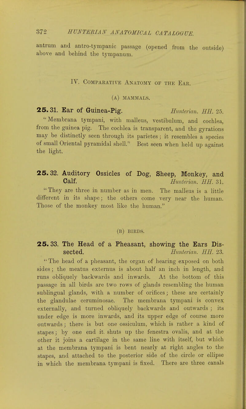 antrum and antro-tympanic passage (opened from the outside) above and behind the tympanum. IV. Comparative Anatomy of the Ear. (a) mammals. 25.31. Ear of Guinea-Pig. Hunterxan. RE. 25. Membrana tympani, with malleus, vestibulum, and cochlea, from the guinea pig. The cochlea is transparent, and the gyrations may be distinctly seen through its parietes ; it resembles a species of small Oriental pyramidal shell. Best seen when held up against the light. 25.32. Auditory Ossicles of Dog, Sheep, Monkey, and Calf. Hunkrian. EH. 31.  They are three in number as in men. The malleus is a Httle different in its shape; the others come very near the human. Those of the monkey most like the human. (b) birds. 25.33. The Head of a Pheasant, showing the Ears Dis-  The head of a pheasant, the organ of hearing exposed on both sides; the meatus externus is about half an inch in length, and runs obliquely backwards and inwards. At the bottom of this passage in all birds are two rows of glands resembling the human sublingual glands, with a number of orifices; these are certainly the glandulae ceruminosae. The membrana tympani is convex externally, and turned obliquel}' backwards and outwards ; its under edge is more inwards, and its upper edge of course more outwards; there is but one ossiculum, which is rather a kind of stapes; by one end it. shuts up the fenestra ovalis, and at the other it joins a cartilage in the same line with itself, but which at the membrana tympani is bent nearly at right angles to the stapes, and attached to the posterior side of the circle or ellipse in which the membrana tympani is fixed. There are three canals sected. Eunterian. EH. 23.
