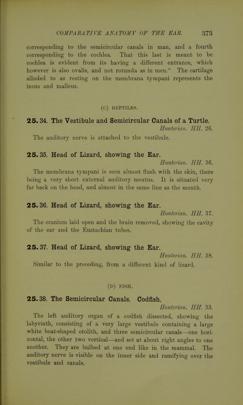 corresponding to the semicircular canals in man, and a fourth corresponding to the cochlea. That this last is meant to be cochlea is evident from its having a different entrance, which however is also ovalis, and not rotunda as in men. The cartilage alluded to as resting on the membrana tympani represents the incus and malleus. (C) REPTILES. 25.34. The Vestibule and Semicircular Canals of a Turtle. Hunterian. HH. 26. The auditory nerve is attached to the vestibule. 25.35. Head of Lizard, showing the Ear. Hunterian. HH. 36. The membrana tympani is seen almost flush with the skin, there being a very short external auditory meatus. It is situated very far back on the head, and almost in the same line as the mouth. 25.36. Head of Lizard, showing the Ear. Hunterian. HH. 37. The cranium laid open and the brain removed, showing the cavity of the ear and the Eustachian tubes. 25.37. Head of Lizard, showing the Ear. Hunterian. HH. 38. Similar to the preceding, from a different kind of lizard. (d) fish. 25.38. The Semicircular Canals. Codfish. Hunterian. HH. 33. The left auditory organ of a codfish dissected, showing the labyrinth, consisting of a very large vestibule containing a large white boat-shaped otolith, and three semicircular canals—one hori- zontal, the other two vertical—and set at about right angles to one another. They are bulbed at one end like in the mammal. The auditory nerve is visible on the inner side and ramifying over the vestibule and canals.
