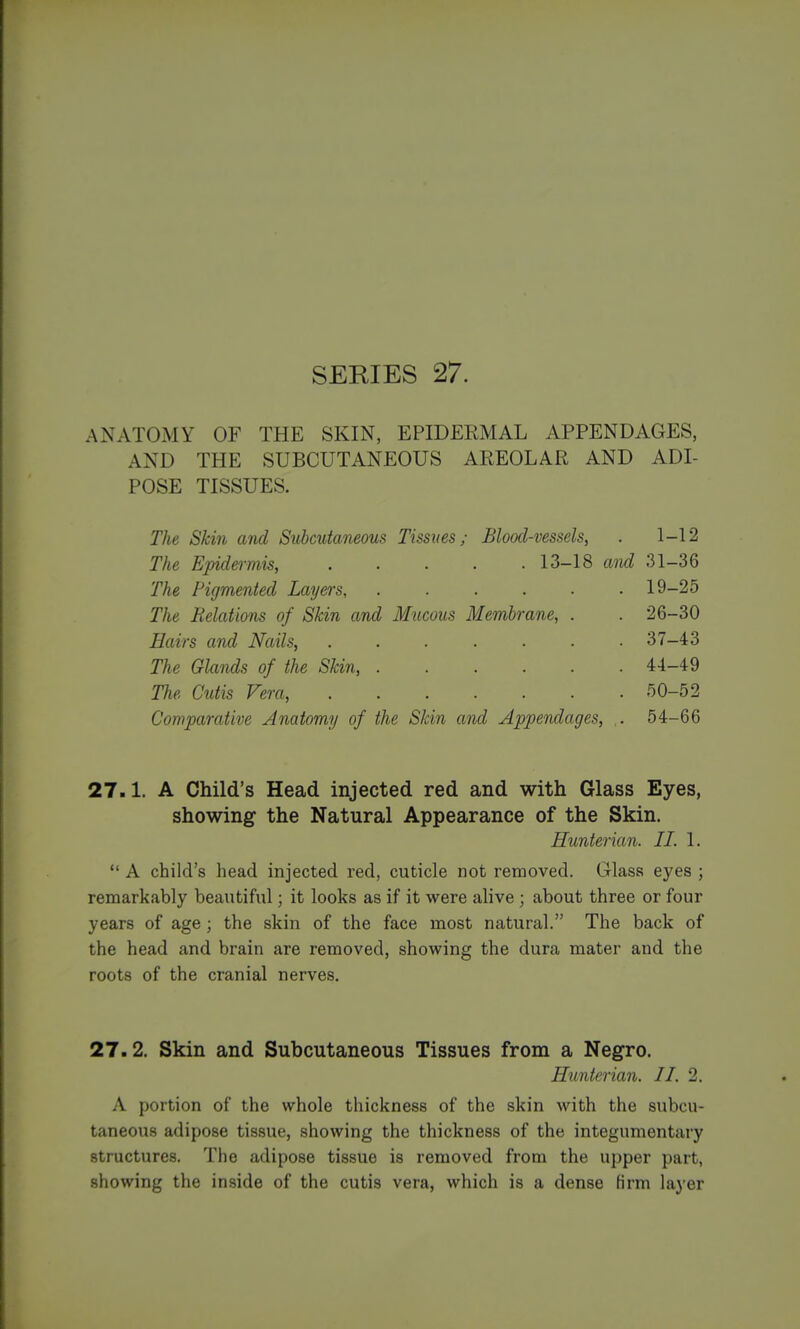 SERIES 27. ANATOMY OF THE SKIN, EPIDERMAL APPENDAGES, AND THE SUBCUTANEOUS AREOLAR AND ADI- POSE TISSUES. The Skin and Subcutaneous Tissues; Blood-vessels, . 1-12 The Epidermis, U-IS and 31-36 The Pigmented Layers, 19-25 The Relations of Skin and Mucous Membrane, . . 26-30 Hairs and Nails, 37-43 The Glands of the Skin, 44-49 The Cutis Vera, 50-52 Comparative Anatomy of the Skin and Appendages, .. 54-66 27.1. A Child's Head injected red and with Glass Eyes, showing the Natural Appearance of the Skin. Hunterian. IT. 1.  A child's head injected red, cuticle not removed. Glass eyes ; remarkably beautiful; it looks as if it were alive; about three or four years of age ; the skin of the face most natural. The back of the head and brain are removed, showing the dura mater and the roots of the cranial nerves. 27.2. Skin and Subcutaneous Tissues from a Negro. Hunterian. II. 2, A portion of the whole thickness of the skin with the subcu- taneous adipose tissue, showing the thickness of the integumentary structures. The adipose tissue is removed from the upper part, showing the inside of the cutis vera, which is a dense firm layer