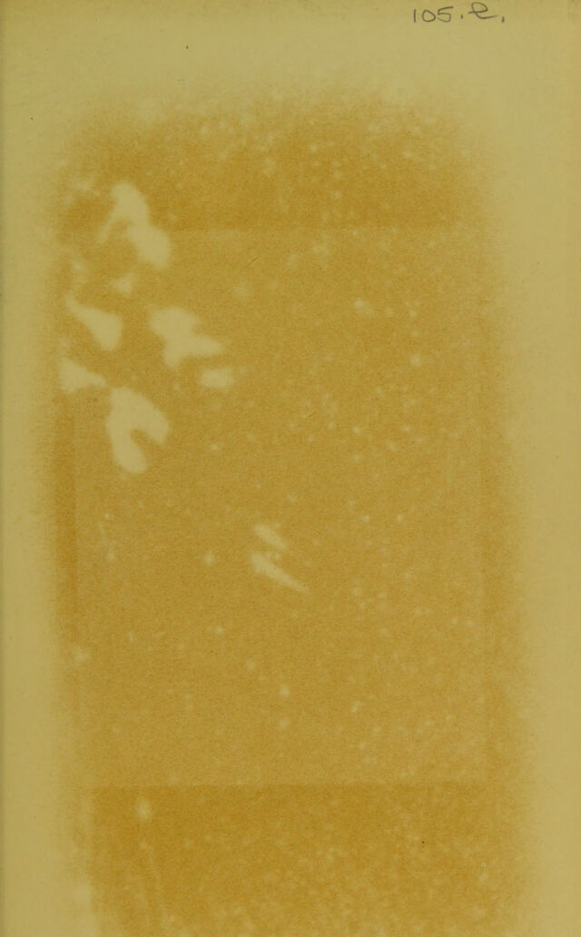 digitised image 3