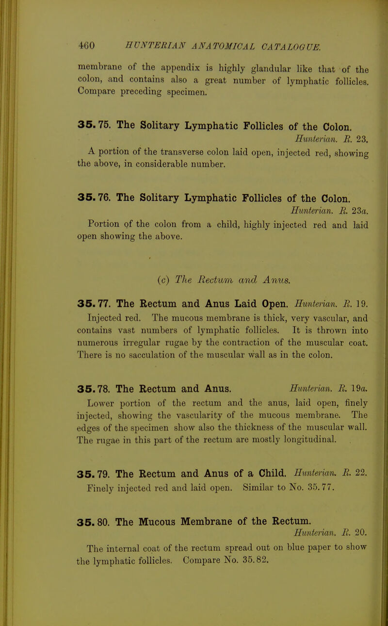 membrane of the appendix is highly glandular like that of the colon, and contains also a great number of lymphatic follicles. Compare preceding specimen. 35.75. The Solitary Lymphatic Follicles of the Colon. Hunterian. R. 23. A portion of the transverse colon laid open, injected red, showing the above, in considerable number. 35.76. The Solitary Lymphatic Follicles of the Colon. Hunterian. R. 23a. Portion of the colon from a child, highly injected red and laid open showing the above. (c) The Rectum and Anus. ZB.n. The Rectum and Anus Laid Open. Hunterian. R. 19. Injected red. The mucous membrane is thick, very vascular, and contains vast numbers of lymphatic follicles. It is thrown into numerous irregular rugae by the contraction of the muscular coat. There is no sacculation of the muscular wall as in the colon. 35.78. The Rectum and Anus. Hunterian. R. 19a. Lower portion of the rectum and the anus, laid open, finely injected, showing the vascularity of the mucous membrane. The edges of the specimen show also the thickness of the muscular wall. The rugae in this part of the rectum are mostly longitudinal. 35.79. The Rectum and Anus of a Child. Hunterian. R. 22. Finely injected red and laid open. Similar to No. 35.77. 35.80. The Mucous Membrane of the Rectum. Hunterian. R. 20. The internal coat of the rectum spread out on blue paper to show the lymphatic follicles. Compare No. 35.82.