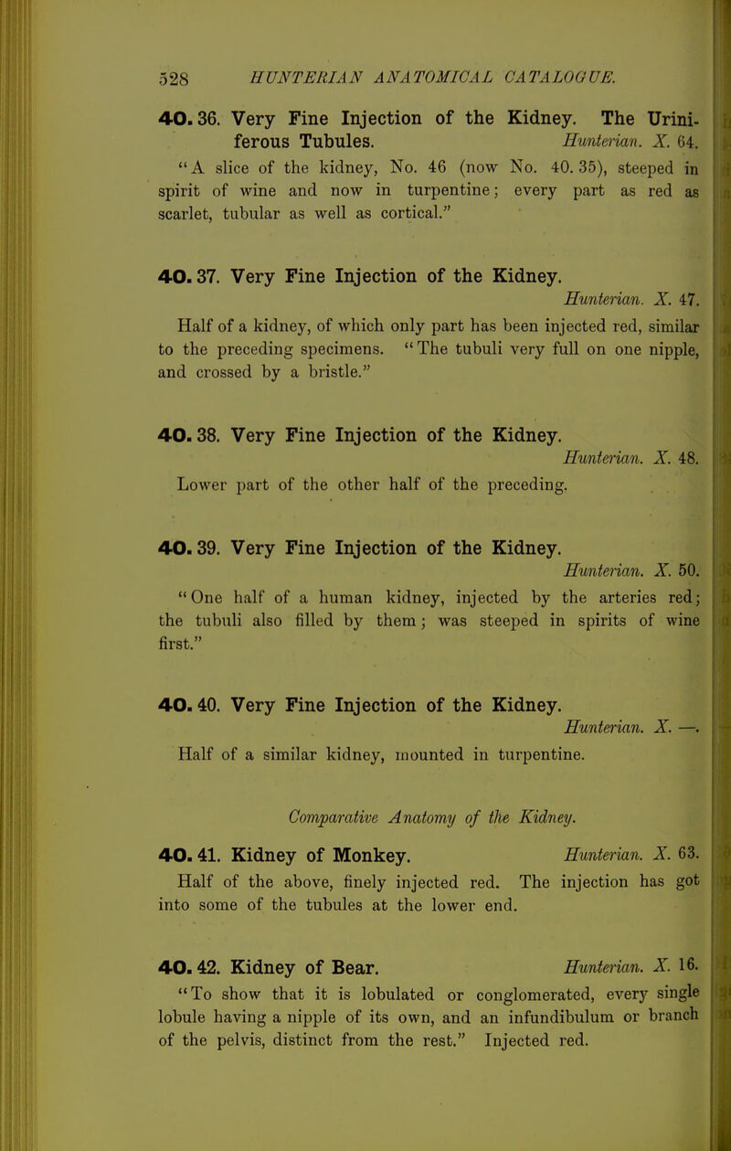 40.36. Very Fine Injection of the Kidney. The Urini- ferous Tubules. Eunterian. X. 64. A slice of the kidney, No. 46 (now No. 40.35), steeped in spirit of wine and now in turpentine; every part as red as scarlet, tubular as well as cortical. 40.37. Very Fine Injection of the Kidney. Eunterian. X. 47. Half of a kidney, of which only part has been injected red, similar to the preceding specimens. The tubuli very full on one nipple, and crossed by a bristle. 40.38. Very Fine Injection of the Kidney. Eunterian. X. 48. Lower part of the other half of the preceding. 40.39. Very Fine Injection of the Kidney. Eunterian. X. 50. One half of a human kidney, injected by the arteries red; the tubuli also filled by them; was steejaed in spirits of wine first. 40.40. Very Fine Injection of the Kidney. Eunterian. X. —. Half of a similar kidney, mounted in turpentine. Comparative Anatomy of the Kidney. 40.41. Kidney of Monkey. Eunterian. X. 63. Half of the above, finely injected red. The injection has got into some of the tubules at the lower end. 40. 42. Kidney of Bear. Eunterian. X. 16. To show that it is lobulated or conglomerated, every single lobule having a nipple of its own, and an infundibulum or branch of the pelvis, distinct from the rest. Injected red.