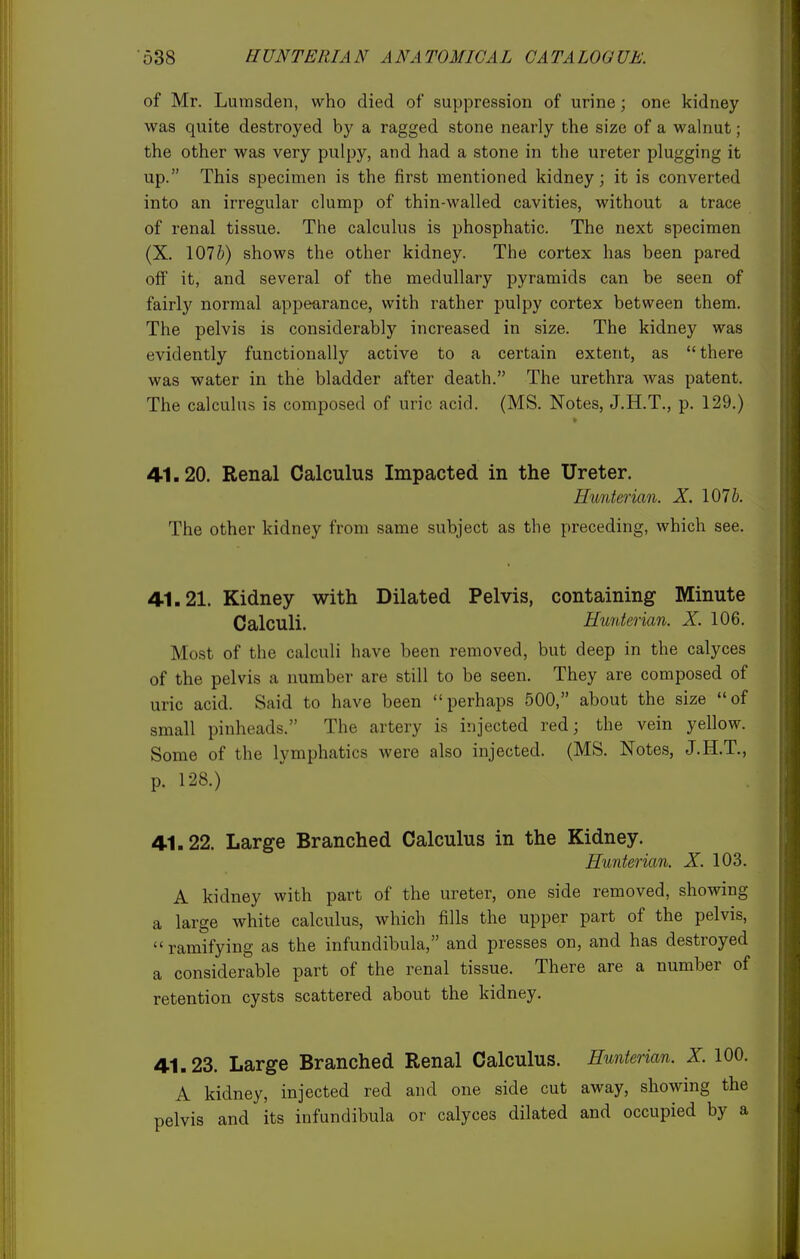 of Mr. Lurasden, who died of suppression of urine; one kidney was quite destroyed by a ragged stone nearly the size of a walnut; the other was very pulpy, and had a stone in the ureter plugging it up. This specimen is the first mentioned kidney; it is converted into an irregular clump of thin-walled cavities, without a trace of renal tissue. The calculus is phosphatic. The next specimen (X. 1075) shows the other kidney. The cortex has been pared off it, and several of the medullary pyramids can be seen of fairly normal appearance, with rather pulpy cortex between them. The pelvis is considerably increased in size. The kidney was evidently functionally active to a certain extent, as there was water in the bladder after death. The urethra was patent. The calculus is composed of uric acid. (MS. Notes, J.H.T., p. 129.) 41.20. Renal Calculus Impacted in the Ureter. Hunterian. X. 1076. The other kidney from same subject as the preceding, which see. 4.1.21. Kidney with Dilated Pelvis, containing Minute Calculi. Hunterian. X. 106. Most of the calculi have been removed, but deep in the calyces of the pelvis a number are still to be seen. They are composed of uric acid. Said to have been perhaps 500, about the size of small pinheads. The artery is injected red; the vein yellow. Some of the lymphatics were also injected. (MS. Notes, J.H.T., p. 128.) 41.22. Large Branched Calculus in the Kidney. Hunterian. X. 103. A kidney with part of the ureter, one side removed, showing a large white calculus, which fills the upper part of the pelvis, ramifying as the infundibula, and presses on, and has destroyed a considerable part of the renal tissue. There are a number of retention cysts scattered about the kidney. 41.23. Large Branched Renal Calculus. Hunterian. X. 100. A kidney, injected red and one side cut away, showing the pelvis and its infundibula or calyces dilated and occupied by a