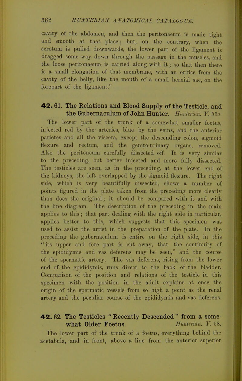 cavitj' of the abdomen, and then the peritonaeum is made tight and smooth at that place; but, on the contrary, when the scrotum is pulled downwards, the lower part of the ligament is dragged some way down through the passage in the muscles, and the loose peritonaeum is carried along with it; so that then there is a small elongation of that membrane, with an orifice from the cavity of the belly, like the mouth of a small hernial sac, on the forepart of the ligament. 42.61. The Relations and Blood Supply of the Testicle, and the Gubernaculum of John Hunter. Hunterian. Y. 53a. The lower part of the trunk of a somewhat smaller foetus, injected red by the arteries, blue by the veins, and the anterior parietes and all the viscera, except the descending colon, sigmoid flexure and rectum, and the genito-urinary organs, removed. Also the peritoneum carefully dissected off. It is very similar to the preceding, but better injected and more fully dissected. The testicles are seen, as in the preceding, at the lower end of the kidneys, the left overlapped by the sigmoid flexure. The right side, which is very beautifully dissected, shows a number of points figured in the plate taken from the preceding more clearly than does the original; it should be compared with it and with the line diagram. The description of the preceding in the main applies to this; that part dealing with the right side in particular, applies better to this, which suggests that this specimen was used to assist the artist in the preparation of the plate. In the preceding the gubernaculum is entire on the right side, in this *'its upper and fore part is cut away, that the continuity of the epididymis and vas deferens may be seen, and the course of the spermatic artery. The vas deferens, rising from the lower end of the epididymis, runs direct to the back of the bladder. Comparison of the position and relations of the testicle in this specimen with the position in the adult explains at once the origin of the spermatic vessels from so high a point as the renal artery and the j^eculiar course of the epididymis and vas deferens. 42.62. The Testicles  Recently Descended  from a some- what Older Foetus. Hunterian. Y. 58. The lower part of the trunk of a foetus, everything behind the acetabula, and in front, above a line from the anterior superior