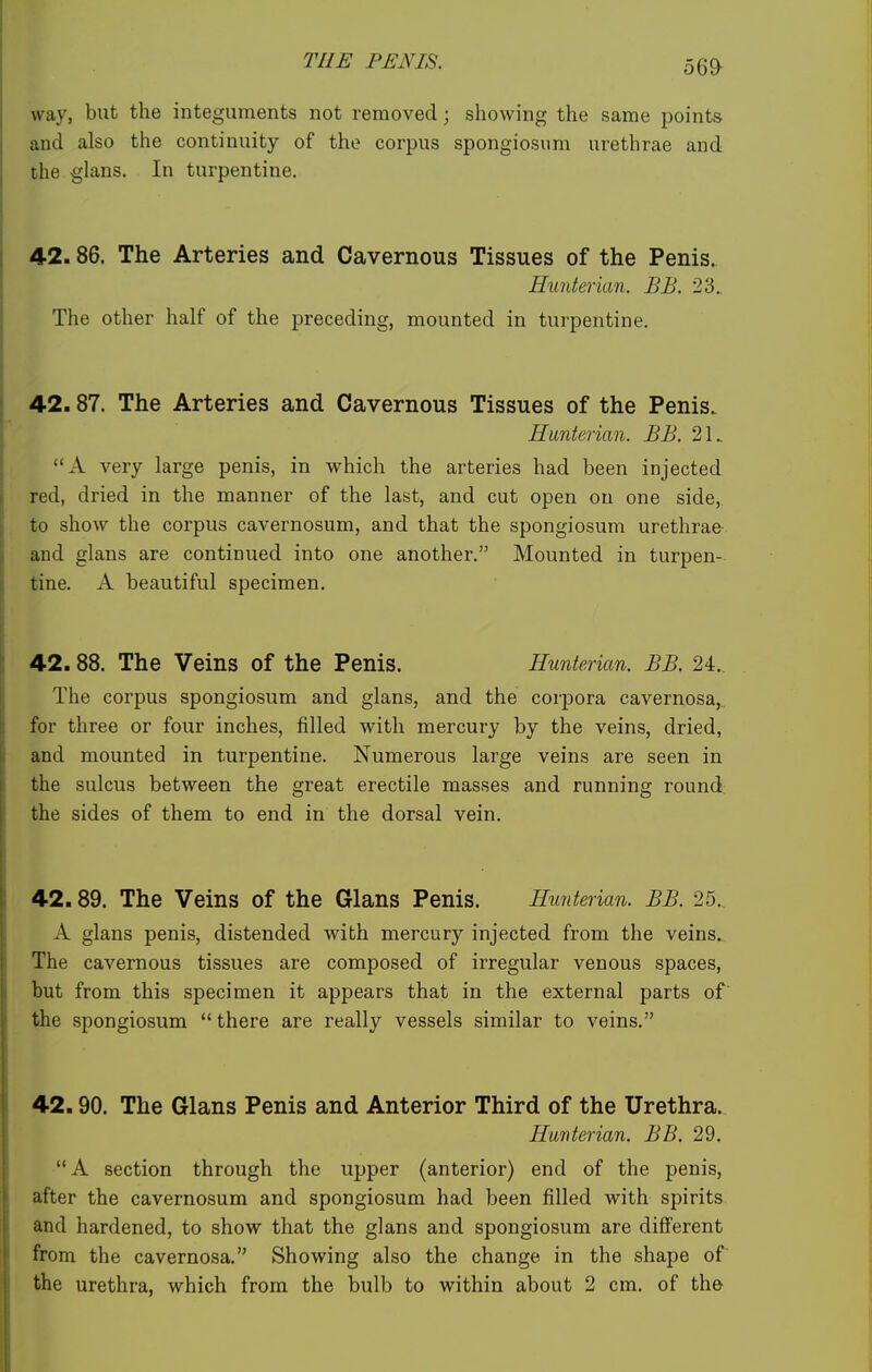 56^ way, but the integuments not removed; showing the same points and also the continuity of the corpus spongiosum urethrae and the glans. In turpentine. 42.86. The Arteries and Cavernous Tissues of the Penis. Hunterian. BB. 23. The other half of the preceding, mounted in turpentine. 42.87. The Arteries and Cavernous Tissues of the Penis. Hunterian. BB. 21. A very large penis, in which the arteries had been injected red, dried in the manner of the last, and cut open on one side,, to show the corpus cavernosum, and that the spongiosum urethras and glans are continued into one another. Mounted in turpen- tine. A beautiful specimen. 42.88. The Veins of the Penis. Hunterian. BB. 24.. The corpus spongiosum and glans, and the corpora cavernosa, for three or four inches, filled with mercury by the veins, dried, and mounted in turpentine. Numerous large veins are seen in the sulcus between the great erectile masses and running round the sides of them to end in the dorsal vein. 42.89. The Veins of the Glans Penis. Hunterian. BB. 25. A glans penis, distended with mercury injected from the veins. The cavernous tissues are composed of irregular venous spaces, but from this specimen it appears that in the external parts of' the spongiosum  there are really vessels similar to veins. 42.90. The Glans Penis and Anterior Third of the Urethra. Hunterian. BB. 29. A section through the upper (anterior) end of the penis, after the cavernosum and spongiosum had been filled with spirits and hardened, to show that the glans and spongiosum are different from the cavernosa. Showing also the change in the shape of