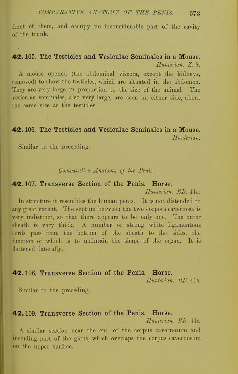 front of them, and occupy no inconsiderable part of the cavity of the trunk. 42.105. The Testicles and Vesiculae Seminales in a Mouse. Hunterian. Z. 8. A mouse opened (the abdominal viscera, except the kidneys, removed) to show the testicles, which are situated in the abdomen. They are very large in proportion to the size of the animal. The vesiculae seminales, also very large, are seen on either side, about the same size as the testicles. 42.106. The Testicles and Vesiculae Seminales in a Mouse. Hunterian. Similar to the preceding. Comparative Anatomy of the Penis. 42.107. Transverse Section of the Penis. Horse. Hunterian. BB. 41a. In structure it resembles the human penis. It is not distended to any great extent. The septum between the two corpora cavernosa is very indistinct, so that there appears to be only one. The outer sheath is very thick. A number of strong white ligamentous cords pass from the bottom of the sheath to the sides, the function of which is to maintain the shape of the organ. It is flattened laterally. 42.108. Transverse Section of the Penis. Horse. Hunterian. BB. 415. Similar to the preceding. 42.109. Transverse Section of the Penis. Horse. Hunterian. BB. 41c. A similar section near the end of the corpus cavernosum and including part of the glans, which overlaps the corpus cavernosum on the upper surface.