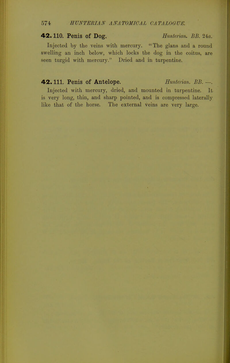 42.110. Penis of Dog. Hunterian. BB. 24a. Injected by the veins with mercury. The glans and a round swelling an inch below, which locks the dog in the coitus, are seen turgid with mercury. Dried and in turpentine. 42. 111. Penis of Antelope. Hunterian. BB. —. Injected with mercury, dried, and mounted in turpentine. It is very long, thin, and sharp pointed, and is compressed laterally like that of the horse. The external veins are very large.