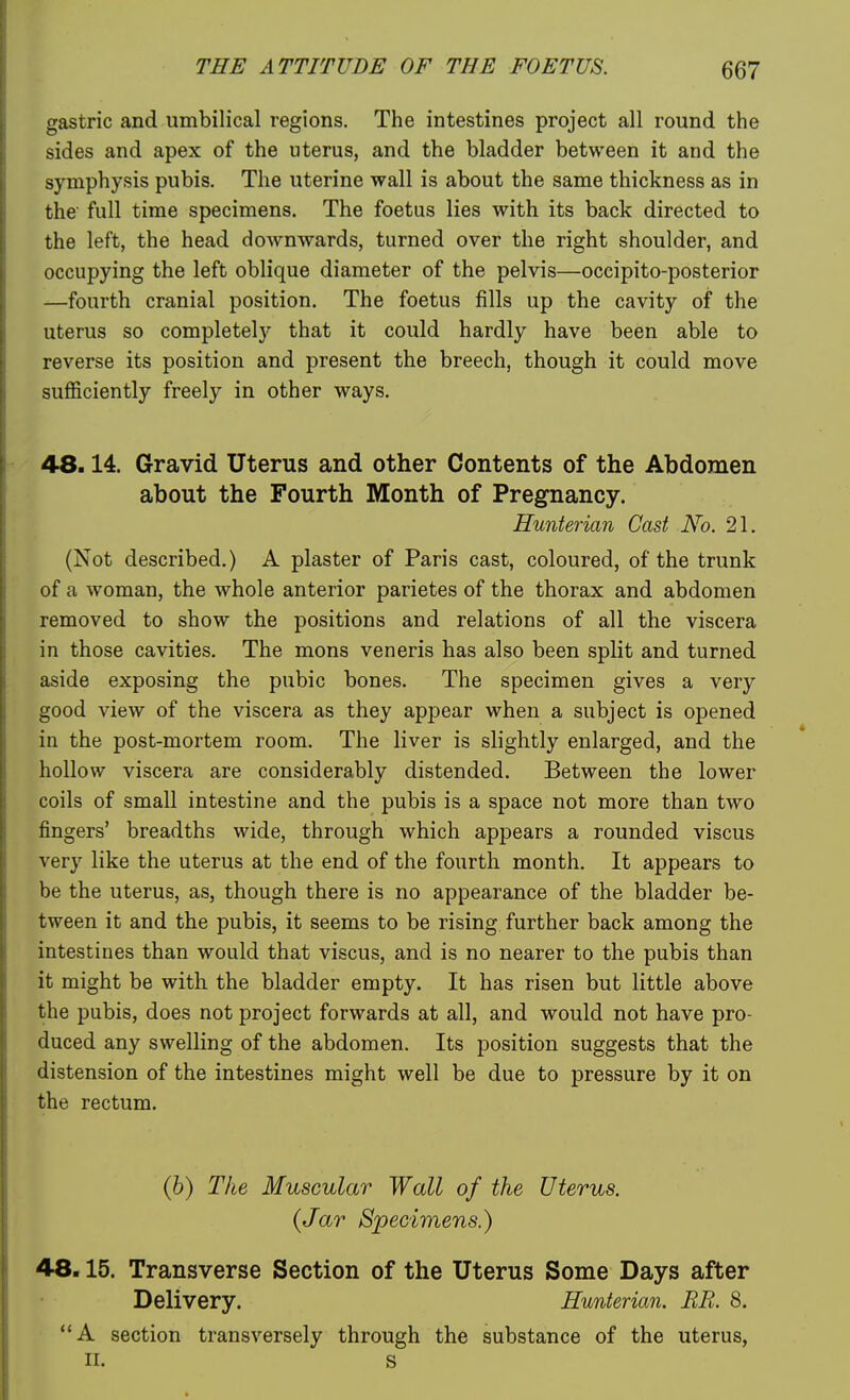 gastric and umbilical regions. The intestines project all round the sides and apex of the uterus, and the bladder between it and the symphysis pubis. The uterine wall is about the same thickness as in the' full time specimens. The foetus lies with its back directed to the left, the head downwards, turned over the right shoulder, and occupying the left oblique diameter of the pelvis—occipito-posterior —fourth cranial position. The foetus fills up the cavity of the uterus so completely that it could hardly have been able to reverse its position and present the breech, though it could move sufficiently freely in other ways. 48.14. Gravid Uterus and other Contents of the Abdomen about the Fourth Month of Pregnancy. Hunterian Cast No. 21. (Not described.) A plaster of Paris cast, coloured, of the trunk of a woman, the whole anterior parietes of the thorax and abdomen removed to show the positions and relations of all the viscera in those cavities. The mons veneris has also been split and turned aside exposing the pubic bones. The specimen gives a very good view of the viscera as they appear when a subject is opened in the post-mortem room. The liver is slightly enlarged, and the hollow viscera are considerably distended. Between the lower coils of small intestine and the pubis is a space not more than two fingers' breadths wide, through which appears a rounded viscus very like the uterus at the end of the fourth month. It appears to be the uterus, as, though there is no appearance of the bladder be- tween it and the pubis, it seems to be rising further back among the intestines than would that viscus, and is no nearer to the pubis than it might be with, the bladder empty. It has risen but little above the pubis, does not project forwards at all, and would not have pro- duced any swelling of the abdomen. Its position suggests that the distension of the intestines might well be due to pressure by it on the rectum. (6) The Muscular Wall of the Uterus. {Jar Specimens.) 48.15. Transverse Section of the Uterus Some Days after Delivery. Hunterian. BR. 8. A section transversely through the substance of the uterus, II. s