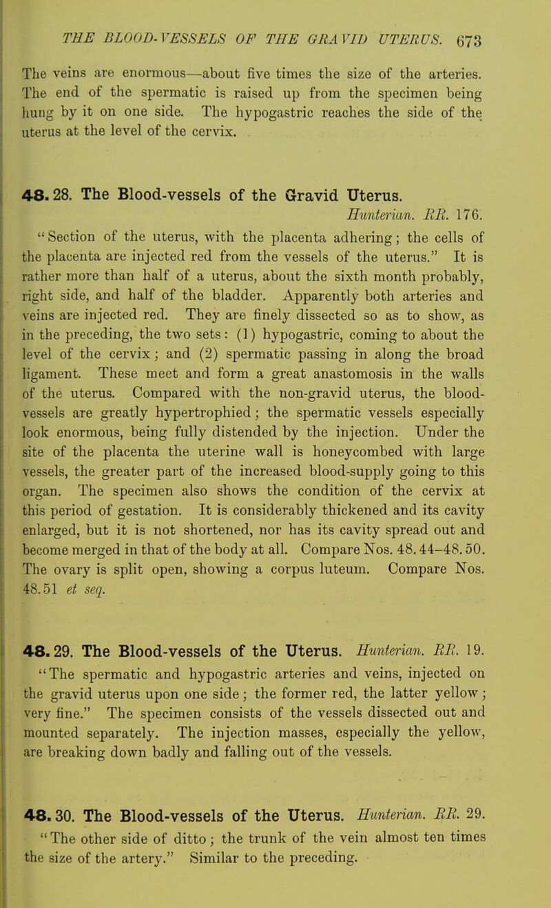 The veins are enormous—about five times the size of the arteries. The end of the spermatic is raised up from the specimen being hung by it on one side. The hypogastric reaches the side of the uterus at the level of the cervix. 48.28. The Blood-vessels of the Gravid Uterus. Hunterian. RR. 176. Section of the uterus, with the placenta adhering; the cells of the placenta are injected red from the vessels of the uterus. It is rather more than half of a uterus, about the sixth month probably, right side, and half of the bladder. Apparently both arteries and veins are injected red. They are finely dissected so as to show, as in the preceding, the two sets: (1) hypogastric, coming to about the level of the cervix; and (2) spermatic passing in along the broad ligament. These meet and form a great anastomosis in the walls of the uterus. Compared with the non-gravid uterus, the blood- vessels are greatly hypertrophied; the spermatic vessels especially look enormous, being fully distended by the injection. Under the site of the placenta the uterine wall is honeycombed with large vessels, the greater part of the increased blood-supply going to this organ. The specimen also shows the condition of the cervix at this period of gestation. It is considerably thickened and its cavity enlarged, but it is not shortened, nor has its cavity spread out and become merged in that of the body at all. Compare Nos. 48.44-48.50. The ovary is split open, showing a corpus luteum. Compare Nos. 48.51 et seq. 48.29. The Blood-vessels of the Uterus. Hunterian. RR. 19. The spermatic and hypogastric arteries and veins, injected on the gravid uterus upon one side; the former red, the latter yellow; very fine. The specimen consists of the vessels dissected out and mounted separately. The injection masses, especially the yellow, are breaking down badly and falling out of the vessels. 48.30. The Blood-vessels of the Uterus. Hunterian. BR. 29.  The other side of ditto; the trunk of the vein almost ten times the size of the artery. Similar to the preceding.