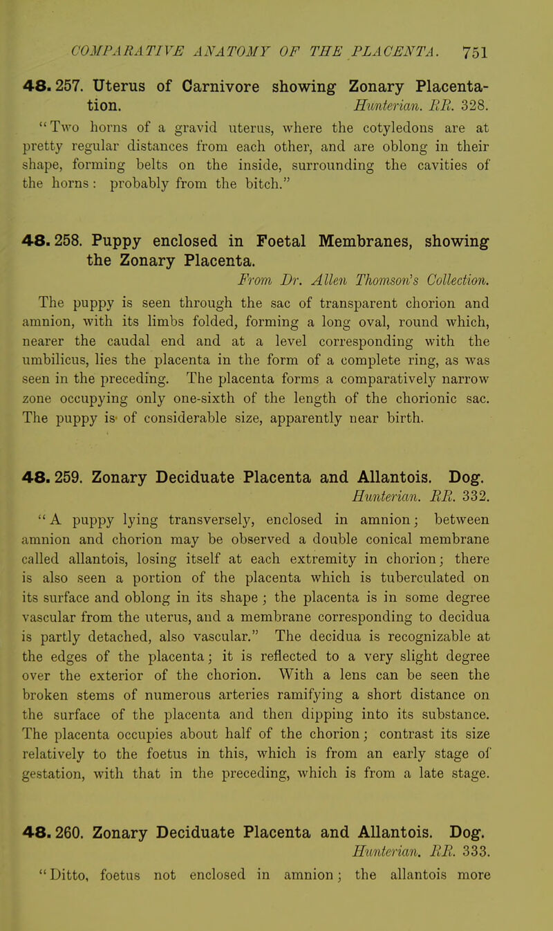 48.257. Uterus of Carnivore showing Zonary Placenta- tion. Hunterian. KPi. 328. Two horns of a gravid uterus, where the cotyledons are at pretty regular distances from each other, and are oblong in their shape, forming belts on the inside, surrounding the cavities of the horns : probably from the bitch. 48.258. Puppy enclosed in Foetal Membranes, showing the Zonary Placenta. From Dr. Allen Thomson's Collection. The puppy is seen through the sac of transparent chorion and amnion, with its limbs folded, forming a long oval, round which, nearer the caudal end and at a level corresponding with the umbilicus, lies the placenta in the form of a complete ring, as was seen in the preceding. The placenta forms a comparatively narrow zone occupying only one-sixth of the length of the chorionic sac. The puppy is of considerable size, apparently near birth. 48.259. Zonary Deciduate Placenta and AUantois. Dog. Hunterian. BR. 332. A puppy lying transversely, enclosed in amnion; between amnion and chorion may be observed a double conical membrane called allantois, losing itself at each extremity in chorion; there is also seen a portion of the placenta which is tuberculated on its surface and oblong in its shape ; the placenta is in some degree vascular from the uterus, and a membrane corresponding to decidua is partly detached, also vascular. The decidua is recognizable at the edges of the placenta; it is reflected to a very slight degree over the exterior of the chorion. With a lens can be seen the broken stems of numerous arteries ramifying a short distance on the surface of the placenta and then dipping into its substance. The placenta occupies about half of the chorion; contrast its size relatively to the foetus in this, which is from an early stage of gestation, with that in the preceding, which is from a late stage. 48.260. Zonary Deciduate Placenta and Allantois. Dog. Hunterian. UK 333. Ditto, foetus not enclosed in amnion; the allantois more