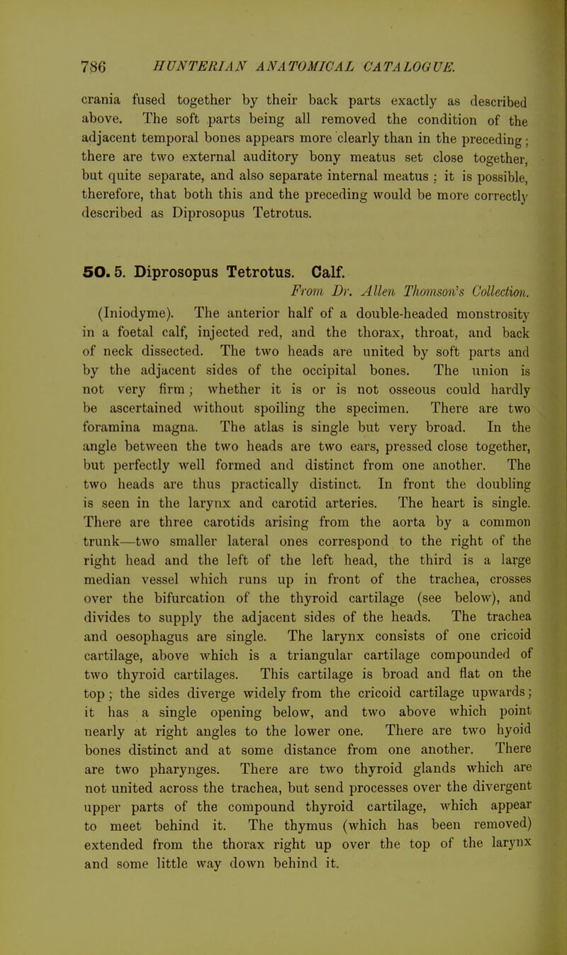 crania fused together by their back parts exactly as described above. The soft parts being all removed the condition of the adjacent temporal bones appears more clearly than in the preceding; there are two external auditory bony meatus set close together, but quite separate, and also separate internal meatus ; it is possible, therefore, that both this and the preceding would be more correctly described as Diprosopus Tetrotus. 50.5. Diprosopus Tetrotus. Calf. From Dr. Allen Thomson''s Colledmi. (Iniodyme). The anterior half of a double-headed monstrosity in a foetal calf, injected red, and the thorax, throat, and back of neck dissected. The two heads a.re united by soft parts and by the adjacent sides of the occipital bones. The union is not very firm; whether it is or is not osseous could hardly be ascertained without spoiling the specimen. There are two foramina magna. The atlas is single but very broad. In the angle between the two heads are two ears, pressed close together, but perfectly well formed and distinct from one another. The two heads are thus practically distinct. In front the doubling is seen in the larynx and carotid arteries. The heart is single. There are three carotids arising from the aorta by a common trunk—two smaller lateral ones correspond to the right of the right head and the left of the left head, the third is a large median vessel which runs up in front of the trachea, crosses over the bifurcation of the thyroid cartilage (see below), and divides to supply the adjacent sides of the heads. The trachea and oesophagus are single. The larynx consists of one cricoid cartilage, above which is a triangular cartilage compounded of two thyroid cartilages. This cartilage is broad and flat on the top; the sides diverge widely from the cricoid cartilage upwards; it has a single opening below, and two above which point nearly at right angles to the lower one. There are two hyoid bones distinct and at some distance from one another. There are two pharynges. There are two thyroid glands which are not united across the trachea, but send processes over the divergent upper parts of the compound thyroid cartilage, which appear to meet behind it. The thymus (which has been removed) extended from the thorax right up over the top of the larynx and some little way down behind it.