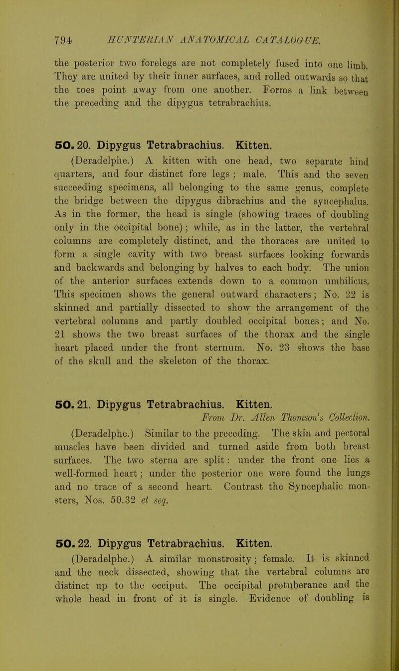 the posterior two forelegs are not completely fused into one limb. They are united by their inner surfaces, and rolled outwards so that the toes point away from one another. Forms a link between the preceding and the dipygus tetrabrachius. 50.20. Dipyg-us Tetrabrachius. Kitten. (Deradelphe.) A kitten with one head, two separate hind quarters, and four distinct fore legs ; male. This and the seven succeeding specimens, all belonging to the same genus, complete the bridge between the dipygus dibrachius and the syncephalus. As in the former, the head is single (showing traces of doubling only in the occipital bone); while, as in the latter, the vertebral columns are completely distinct, and the thoraces are united to form a single cavity with two breast surfaces looking forwards and backwards and belonging by halves to each body. The union of the anterior surfaces extends down to a common umbilicus. This specimen shows the general outward characters; No. 22 is skinned and partially dissected to show the arrangement of the vertebral columns and parti}'- doubled occipital bones; and No. 21 shows the two breast surfaces of the thorax and the single heart placed under the front sternum. No. 23 shows the base of the skull and the skeleton of the thorax. 50.21. Dipygus Tetrabrachius. Kitten. From Dr. Allen Thomson's Collection. (Deradelphe.) Similar to the preceding. The skin and pectoral muscles have been divided and turned aside from both breast surfaces. The two sterna are split: under the front one lies a well-formed heart; under the posterior one were found the lungs and no trace of a second heart. Contrast the Syncephalic mon- sters, Nos. 50.32 et seq. 50.22. Dipygus Tetrabrachius. Kitten. (Deradelphe.) A similar monstrosity; female. It is skinned and the neck dissected, showing that the vertebral columns are distinct up to the occiput. The occipital protuberance and the whole head in front of it is single. Evidence of doubhng is