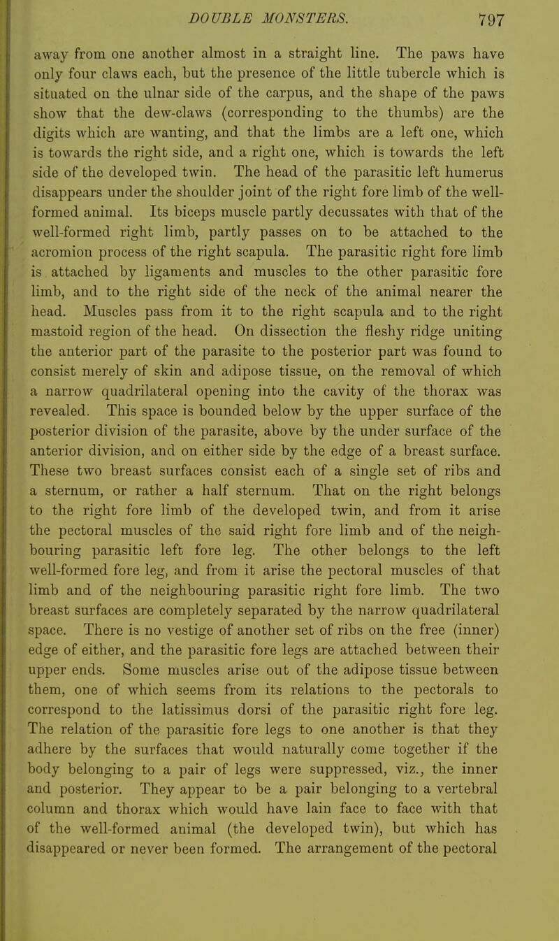 away from one another almost in a straight line. The paws have only four claws each, but the presence of the little tubercle which is situated on the ulnar side of the carpus, and the shape of the paws show that the dew-claws (corresponding to the thumbs) are the digits which are wanting, and that the limbs are a left one, which is towards the right side, and a right one, which is towards the left side of the developed twin. The head of the parasitic left humerus disappears under the shoulder joint of the right fore limb of the well- formed animal. Its biceps muscle partly decussates with that of the well-formed right limb, partly passes on to be attached to the acromion process of the right scapula. The parasitic right fore limb is attached by ligaments and muscles to the other parasitic fore limb, and to the right side of the neck of the animal nearer the head. Muscles pass from it to the right scapula and to the right mastoid region of the head. On dissection the fleshy ridge uniting the anterior part of the parasite to the posterior part was found to consist merely of skin and adipose tissue, on the removal of which a narrow quadrilateral opening into the cavity of the thorax was revealed. This space is bounded below by the upper surface of the posterior division of the parasite, above by the under surface of the anterior division, and on either side by the edge of a breast surface. These two breast surfaces consist each of a single set of ribs and a sternum, or rather a half sternum. That on the right belongs to the right fore limb of the developed twin, and from it arise the pectoral muscles of the said right fore limb and of the neigh- bouring parasitic left fore leg. The other belongs to the left well-formed fore leg, and from it arise the pectoral muscles of that limb and of the neighbouring parasitic right fore limb. The two breast surfaces are completely separated by the narrow quadrilateral space. There is no vestige of another set of ribs on the free (inner) edge of either, and the parasitic fore legs are attached between their upper ends. Some muscles arise out of the adipose tissue between them, one of which seems from its relations to the pectorals to correspond to the latissimus dorsi of the parasitic right fore leg. The relation of the parasitic fore legs to one another is that they adhere by the surfaces that would naturally come together if the body belonging to a pair of legs were suppressed, viz., the inner and posterior. They appear to be a pair belonging to a vertebral column and thorax which would have lain face to face with that of the well-formed animal (the developed twin), but which has disappeared or never been formed. The arrangement of the pectoral