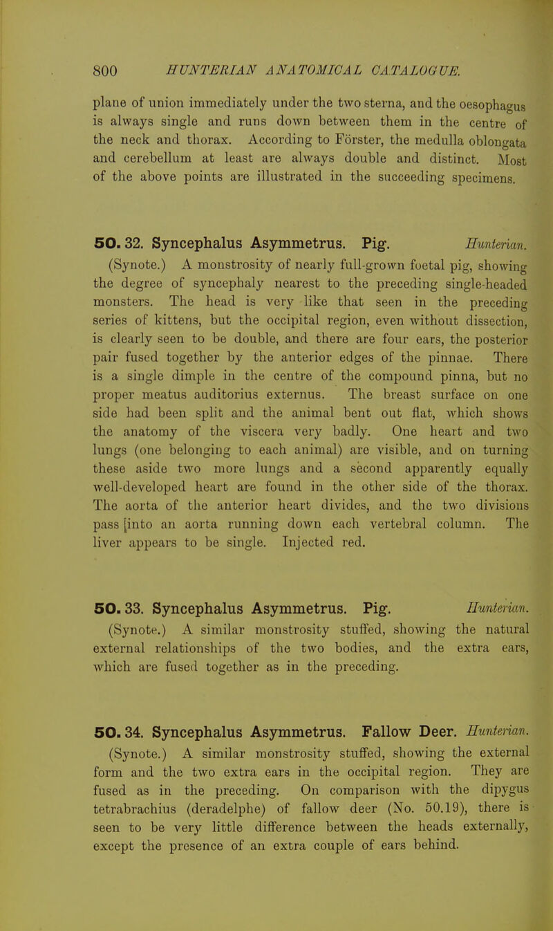 plane of union immediately under the two sterna, and the oesophagus is always single and runs down between them in the centre of the neck and thorax. According to Forster, the medulla oblongata and cerebellum at least are always double and distinct. Most of the above points are illustrated in the succeeding specimens. 50.32. Syncephalus Asymmetrus. Pig. Eunterian. (Synote.) A monstrosity of nearly full-grown foetal pig, showing the degree of syncephaly nearest to the preceding single-headed monsters. The head is very like that seen in the preceding series of kittens, but the occipital region, even without dissection, is clearly seen to be double, and there are four ears, the posterior pair fused together by the anterior edges of the pinnae. There is a single dimple in the centre of the compound pinna, but no proper meatus auditorius externus. The breast surface on one side had been split and the animal bent out flat, which shows the anatomy of the viscera very badly. One heart and two lungs (one belonging to each animal) are visible, and on turning these aside two more lungs and a second apparently equally well-developed heart are found in the other side of the thorax. The aorta of the anterior heart divides, and the two divisions pass [into an aorta running down each vertebral column. The liver appears to be single. Injected red. 50.33. Syncephalus Asymmetrus. Pig. Eunterian. (Synote.) A similar monstrosity stuffed, showing the natural external relationships of the two bodies, and the extra ears, which are fused together as in the preceding. 50.34. Syncephalus Asymmetrus. Fallow Deer. Eunterian. (Synote.) A similar monstrosity stuffed, showing the external form and the two extra ears in the occipital region. They are fused as in the preceding. On comparison with the dipygus tetrabrachius (deradelphe) of fallow deer (No. 50.19), there is seen to be very little difference between the heads externally, except the presence of an extra couple of ears behind.