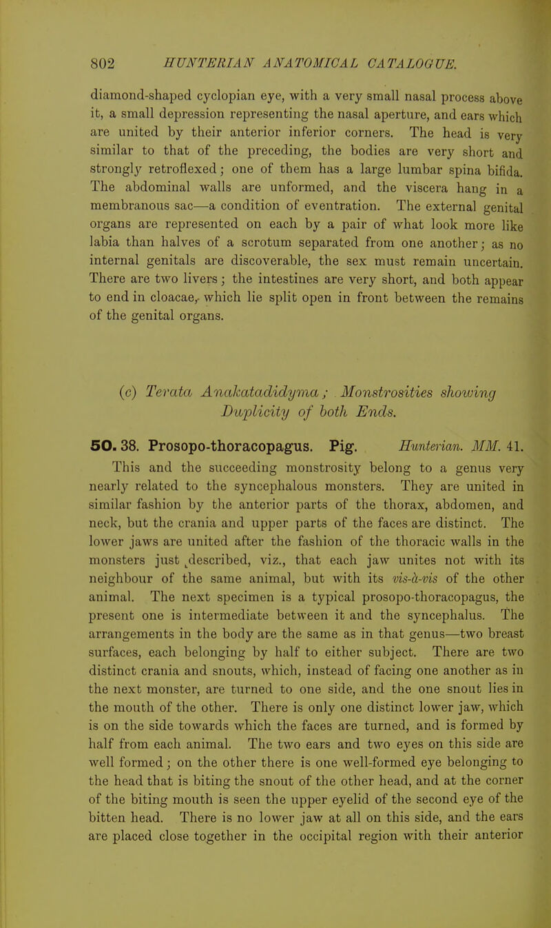 diamond-shaped cyclopian eye, with a very small nasal process above it, a small depression representing the nasal aperture, and ears which are united by their anterior inferior corners. The head is very similar to that of the preceding, the bodies are very short and strongly retroflexed; one of them has a large lumbar spina bifida. The abdominal walls are unformed, and the viscera hang in a membranous sac—a condition of eventration. The external genital organs are represented on each by a pair of what look more hke labia than halves of a scrotum separated from one another; as no internal genitals are discoverable, the sex must remain uncertain. There are two livers; the intestines are very short, and both appear to end in cloacae,- which lie split open in front between the remains of the genital organs. (c) Tevata Anakatadidyma; Monstrosities shovjing Dioplicity of both Ends. 50.38. Prosopo-thoracopagus. Pig. Hunterian. MM. 41. I This and the succeeding monstrosity belong to a genus very nearly related to the syncephalous monsters. They are united in similar fashion by the anterior parts of the thorax, abdomen, and neck, but the crania and upper parts of the faces are distinct. The lower jaws are united after the fashion of the thoracic walls in the monsters just ^described, viz., that each jaw unites not with its neighbour of the same animal, but with its vis-h-vis of the other animal. The next specimen is a typical prosopo-thoracopagus, the present one is intermediate between it and the syncephalus. The arrangements in the body are the same as in that genus—two breast surfaces, each belonging by half to either subject. There are two distinct crania and snouts, which, instead of facing one another as in the next monster, are turned to one side, and the one snout lies in the mouth of the other. There is only one distinct lower jaw, which is on the side towards which the faces are turned, and is formed by half from each animal. The two ears and two eyes on this side are well formed; on the other there is one well-formed eye belonging to the head that is biting the snout of the other head, and at the corner of the biting mouth is seen the upper eyelid of the second eye of the bitten head. There is no lower jaw at all on this side, and the ears are placed close together in the occipital region with their anterior