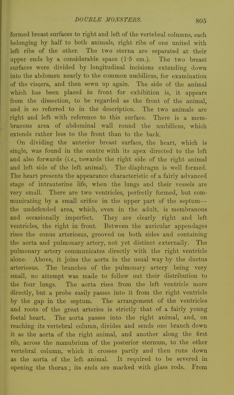 formed breast surfaces to right and left of the vertebral columns, each belonging by half to both animals, right ribs of one united with left ribs of the other. The two sterna are separated at their upper ends by a considerable space (1-5 cm.). The two breast surfaces were divided by longitudinal incisions extending down into the abdomen nearly to the common umbilicus, for examination of the viscera, and then sewn up again. The side of the animal which has been placed in front for exhibition is, it appears from the dissection, to be regarded as the front of the animal, and is so referred to in the description. The two animals are right and left with reference to this surface. There is a mem- branous area of abdominal wall round the umbilicus, which extends rather less to the front than to the back. On dividing the anterior breast surface, the heart, which is single, was found in the centre with its apex directed to the left and also forwards {i.e., towards the right side of the right animal and left side of the left animal). The diaphragm is well formed, The heart presents the appearance characteristic of a fairly advanced stage of intrauterine life, when the lungs and their vessels are very small. There are two ventricles, perfectly formed, but com- municating by a small orifice in the upper part of the septum— the undefended area, which, even in the adult, is membranous and occasionally imperfect. They are clearly right and left ventricles, the right in front. Between the auricular appendages rises the conus arteriosus, grooved on both sides and containing the aorta and pulmonary artery, not yet distinct externally. The pulmonary artery communicates directly with the right ventricle alone, Above, it joins the aorta in the usual way by the ductus arteriosus. The branches of the pulmonary artery being very small, no attempt was made to follow out their distribution to the four lungs. The aorta rises from the left ventricle more directly, but a probe easily passes into it from the right ventricle by the gap in the septum. The arrangement of the ventricles and roots of the great arteries is strictly that of a fairly young foetal heart. The aorta passes into the right animal, and, on reaching its vertebral column, divides and sends one branch down it as the aorta of the right animal, and another along the first rib, across the manubrium of the posterior sternum, to the other vertebral column, which it crosses partly and then runs down as the aorta of the left animal. It required to be severed in opening the thorax; its ends are marked with glass rods. From