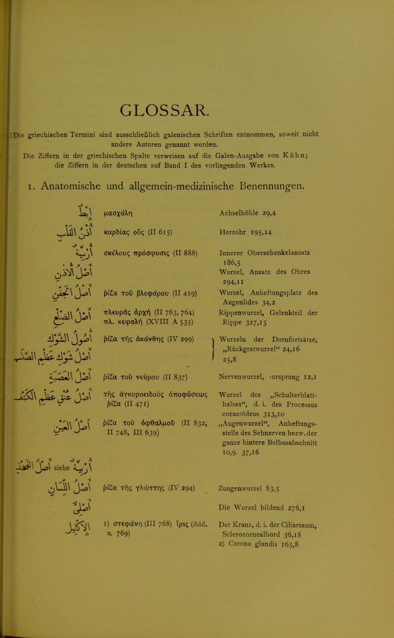 GLOSSAR. Die griechischen Termini sind ausschließlich galenischen Schriften entnommen, soweit nicht andere Autoren genaimt werden. Die Ziffern in der griechischen Spalte verweisen auf die Galen-Ausgabe von Kühn; die Ziffern in der deutschen auf Band I des vorliegenden Werkes. I. Anatomische und allgemein-medizinische Benennungen. ^ 0 —i6ü\ Jap J.!^\ Jj^Ji» siehe 4-j.^\ ILiaaxäXTl Kapbia(; oui; (II 615) aK^Xou? Ttpöaqpuöi? (II 888) /)(Za Toö ß\e9dpou (II 419) uXeupö? dpxr^ (II 763, 764) ttX. KeqpaXn (XVIII AS35) fjiZa Tf|(; dKdvGTi«; (IV 299) ^xLa ToO veupou (II 837) Tf|<; dYKupoeiboöq (i'iroqpOaeiJU(; ACa (II 471) f)iZa ToO d(peaX|LioO (II 832, II 748, III 639) ^xto. Tfi? yXiiJTTn*; (IV 294) Achselhöhle 29,4 Herzohr I9S,14 Innerer Oberschenkelansatz 186,5 Wurzel, Ansatz des Ohres 294,11 Wurzel, Anheftungsplatz des Augenlides 34,2 Rippenwurzel, Gelenkteil der Rippe 327,15 Wurzeln der Domfortsätze, „Rückgratwurzel 24,16 25,8 Nervenwurzel, -Ursprung 12,1 Wurzel des „Schulterblatt- halses, d. i. des Processus coracoideus 313,10 „Augenwurzel, Anheftungs- stelle des Sehnerven bezw. der ganze hintere Bulbusabschnitt 10,9. 37,16 Zungenwurzel 83,5 Die Wurzel bildend 276,1 I) areqjdvn (III 768) Tpi^ (ibid. Der Kranz, d. i. der Cili arsaum, u. 769) Sclerocornealbord 36,18