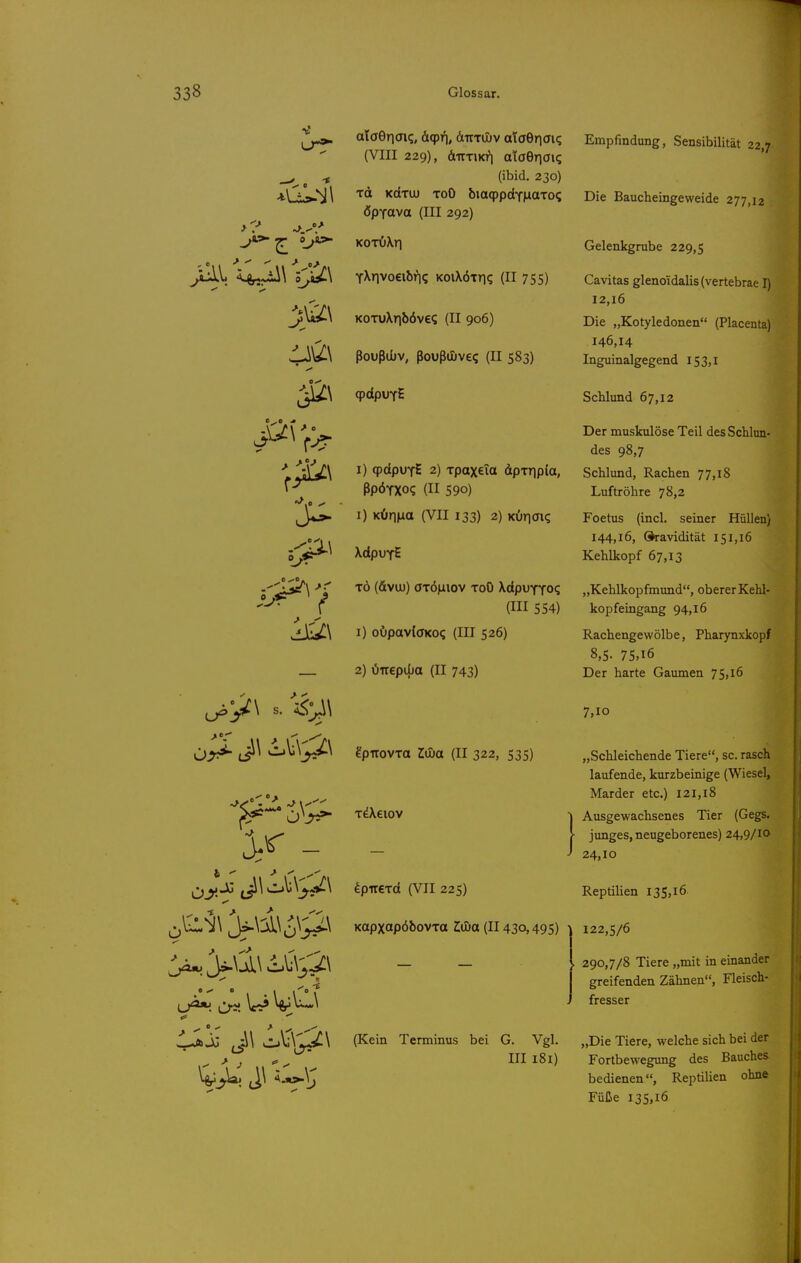 ataGncri?, öiqpii, ätttiüv ataeriaiq (VIII 229), äuTiKri ataöriai? (ibid. 230) Tot KcxTuu ToO &iaq)pclY|aaTo? öpTOva (III 292) -(\r\voi\br\q KoiXÖTTi? (II 755) KOTuXr]böv€? (II 906) ßoußuüv, ßoußujveq (II 583) qpdpuyE I) (pdpuYE 2) TpaxeTa dpxripia, ßpÖTXoq (II 590) I) KÖrma (VII 133) 2) Köriai? \dpvfi TÖ (6vu)) öTÖjiiov ToO XdpuYTO? (III 554) 1) oupavlöKoq (III 526) — 2) öirepifja (II 743) äpnovTa Zwa (II 322, 535) L-J^**. ^^^^ TdXeiov ^pirerd (VII 225) KopxapöbovTa Iwa (II 430,495) Empfindung, Sensibilität 22,7 Die Baucheingeweide 277,12 Gelenkgrube 229,5 Cavitas glenoidalis (vertebrae I) 12,16 Die „Kotyledonen (Placenta) 146,14 Inguinalgegend 153,1 Schlund 67,12 Der muskulöse Teil des Schlun- des 98,7 Schlund, Rachen 77,l8 Luftröhre 78,2 Foetus (incl. seiner Hüllen) 144,16, Gh-avidität 151,16 Kehlkopf 67,13 „Kehlkopfmund, oberer Kehl- kopfeingang 94,16 Rachengewölbe, Pharynxkopf 8,5- 75,16 Der harte Gaumen 75,16 7,10 „Schleichende Tiere, sc. rasch laufende, kurzbeinige (Wiesel, Marder etc.) 121,18 Ausgewachsenes Tier (Gegs. junges, neugeborenes) 24,9/10 24,10 ReptiUen 135,16 122,5/6 . 290,7/8 Tiere „mit in einander greifenden Zähnen, Fleisch- fresser (Kein Terminus bei G. Vgl. „Die Tiere, welche sich bei der III 181) Fortbewegung des Bauches bedienen, Reptilien ohne Füße 135,16