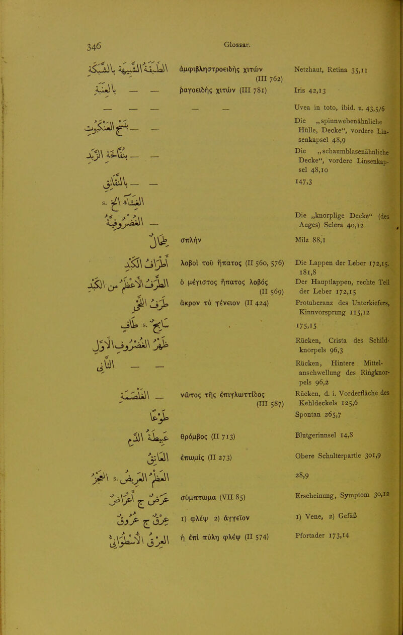 4^CiiV. Aj,^U\ ä|H9ißXTicfTpoeibri? xitiIjv  '    (111762) f)aTOGibr]? xiTii)v (III 781) s. ^\ IviiW ^ -'1 \\jfc> ouXr|v >l5V>\ ^oßoi Tou f^iraxo? (II 560, 576) ^r^^ ^ (II 569) ^\ uKpov TÖ Y^veiov (II 424) - - o y C^^Ail^ — VCUTO? Tfl? ^TTlTXuJTTtbo? (III 587) ji\ aLj^ epöiißo? (II 713) ^TTW)i(? (II 273) i^^>^ ^ U^?' öOMnruJiaa (VII 85) i4 Netzhaut, Retina 35,11 Iris 42,13 Uvea in toto, ibid. u. 43,5/6 Die „ spinnwebenähnliclie Hülle, Decke, vordere Lin- senkapsel 48,9 Die „ schaumblasenähnliche Decke, vordere Linsenkap- sel 48,10 147,3 Die „knorplige Decke (des Auges) Sclera 40,12 Milz 88,1 Die Lappen der Leber 172,15. 181,8 Der Hauptlappen, rechte Teil der Leber 172,15 Protuberanz des Unterkiefers, Kinnvorsprung 115,12 175,15 Rücken, Crista des Schild- knorpels 96,3 Rücken, Hintere Mittel- anschwellung des Ringknor- pels 96,2 Rücken, d. i. Vorderfläche des Kehldeckels 125,6 Spontan 265,7 Blutgerinnsel 14,8 Obere Schulterpartie 301,9 28,9 Erscheinung, Symptom 30,12 I) Vene, 2) Gefäß Pfortader 173,14