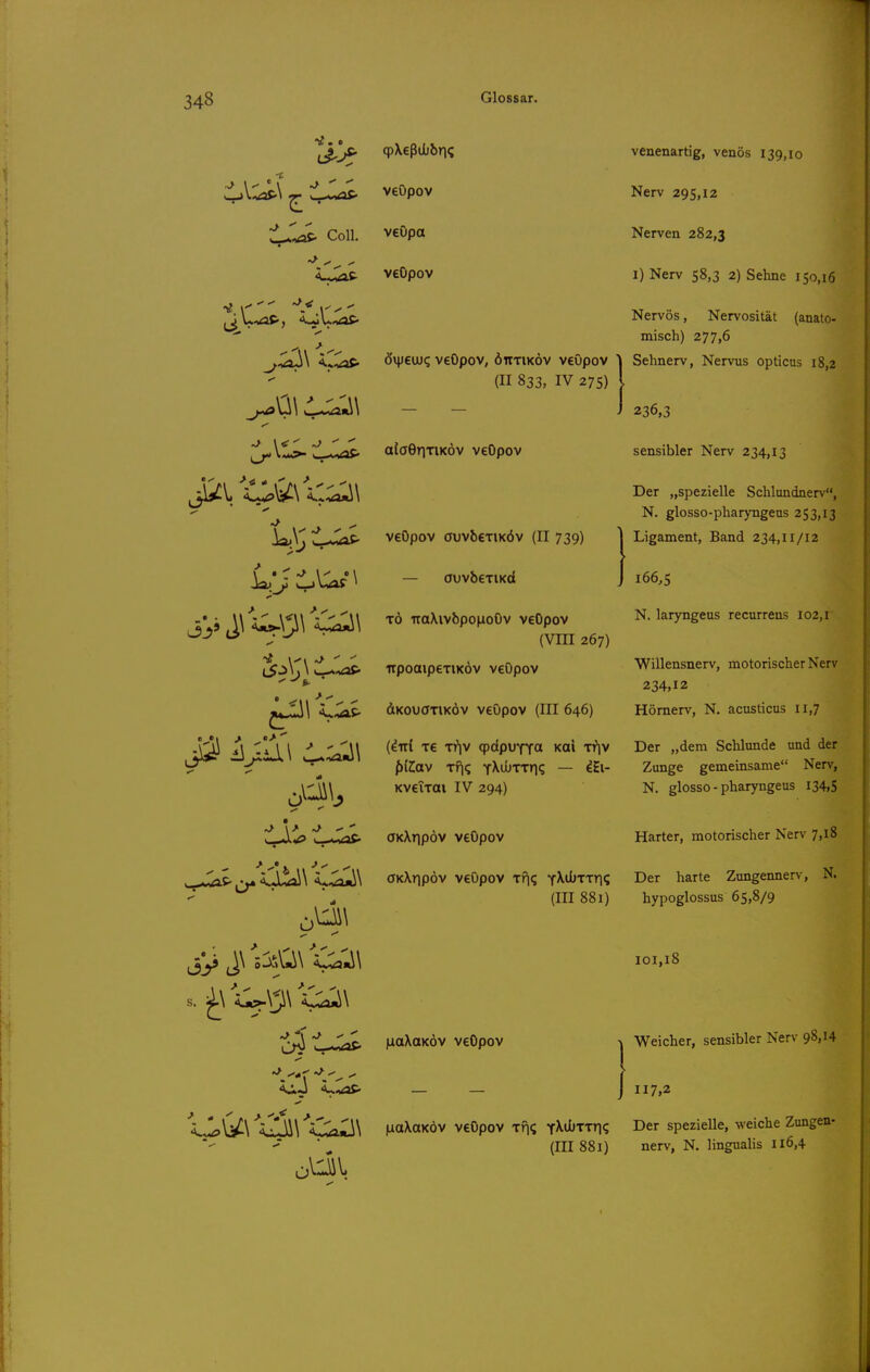 tSJs' Coli. 1^ <ii>«g v_..Aii<a£- veOpov veOpo veOpov övj/euj? veOpov, ötttiköv veOpov  (II 833, IV 275) aioGriTiKÖv veOpov veOpov ouvbeTiKÖv (II 739) — auvbeTiKcl TO uaXivbpoiioOv veOpov (VIII 267) irpoaipeTiKÖv veOpov dKoucTTiKÖv veOpov (III 646) (diri xe Ti^v qpdpuYTO xai Triv /){Z;av Tf|q yXoiTTn? — ^Hi- KveiTOi IV 294) OKXripöv veOpov venenartig, venös 139,10 Nerv 295,12 Nerven 282,3 I) Nerv 58,3 2) Sehne 150,16 Nervös, Nervosität (anato- misch) 277,6 Sehnerv, Nervus opticus 18,2 236,3 sensibler Nerv 234,13 Der „spezielle Schlundnerv, N. glosso-pharyngeus 253,13 Ligament, Band 234,11/12 166,5 N. laryngeus recurrens 102, l Willensnerv, motorischer Nerv 234,12 Hömerv, N. acusticus ll,7 Der „dem Schlünde und der Zunge gemeinsame Nerv, N. glosso-pharyngeus 134,5 Harter, motorischer Nerv 7,18 öKXripöv veOpov xfi? Y^ii^TTr)? Der harte Zungennerv, N. (III 881) hypoglossus 65,8/9 101,18 ILiaXaKÖv veOpov ■V Weicher, sensibler Nerv 98,14 117,2 liaXoKÖv veOpov xfi? T^düxxri? Der spezielle, weiche Zungen- (111881) nerv, N. lingualis 116,4