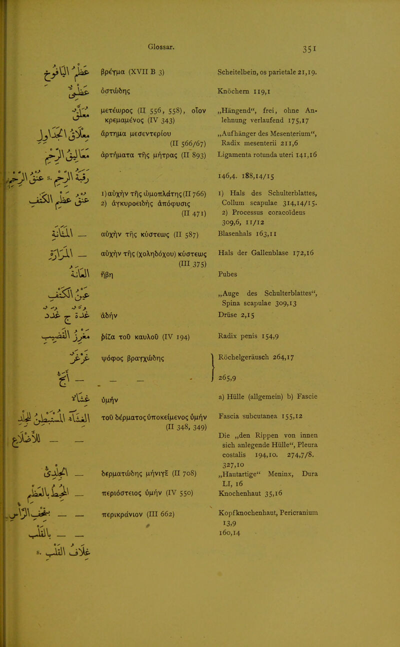0 *,, . II- • • • ßp^TMa (XVII B 3) liexduupo? (II 556, 558), oTov KpeiLiaiLidvo? (IV 343) äpTtma ineaevTepiou (II 566/67) dpriiiuaTa xf\q |Lir|Tpa<; (II 893) 1) auxnv Tfi? iIj|aoTrXdTri(;(Il766) 2) dYKupoeibri? diröqpuaK; (II 471) aöx^v Tf|q Kuffreuj? (II 587) a\)xr]v Tr\c, (xoXriböxou) kuoteiu? (HI 375) f)iz:a ToO KauXoO (IV 194) vy6(po(; ßpaTX^J'JJ'l? Scheitelbein, os parietale 21,19. Knöchern 119,1 „Hängend, frei, ohne An- lehnung verlaufend 17 5,17 „Aufhänger des Mesenterium, Radix mesenterii 211,6 Ligamenta rotunda uteri 141,16 146,4. 188,14/15 i) Hals des Schulterblattes, Collum scapulae 314,14/15. 2) Processus coracoideus 309,6, II/I2 Blasenhals 163,11 Hals der Gallenblase 172,16 Pubes „Auge des Schulterblattes, Spina scapulae 309,13 Drüse 2,15 Radix penis 154,9 Röchelgeräusch 264,17 265,9 a) Hülle (allgemein) b) Fascie ToO &^p^aTO<;\JTTOK€{|aevo(;i5|Liriv Fascia subcutanea 155,12 (II 348, 349) Die „den Rippen von innen sich anlegende Hülle, Pleura costalis 194,10. 274,7/8. 327,10 „Hautartige Meninx, Dura LT, 16 Knochenhaut 35>i6 bep|iaTÜJbri(; \xr\v\fi. (II 708) uepiöGTCio? Of^riv (IV 550) irepiKpdviov (III 662) Kopf knochenhaut, Pericranium 13,9 160,14