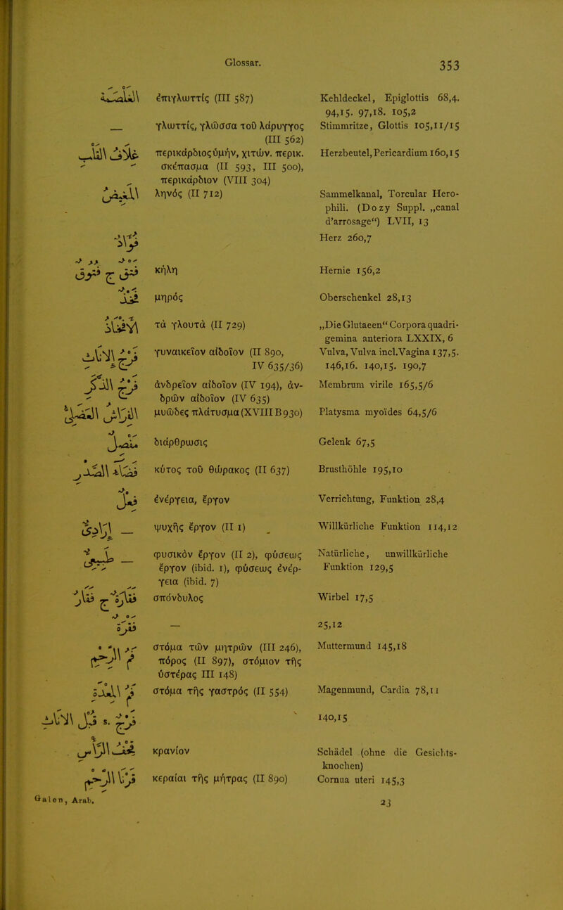 iJiaUW duiTXu)TT{q (III 587) Y^uJTTi'c;, yKdjaoa toD XdpuYYo? (III 562) v--.Ü\ iSUp irepiKdpbio? ÖMnv, xitOjv. TT€piK.  ffK^uacTjua (II 593, III 500), TrepiKctpfiiov (VIII 304) ^^^\ Xnvö? (11712) KriXri iVi^V^ Td YXouxd (II 729) 0^ > •YuvaiKeiov al&oTov (II 890, ^E-^ IV 635/36) ji\ ^Vs dv&peiov aiboTov (IV 194), dv- - ^ bpujv aiboiov (IV 635) \^^\ J>Cj^ MUÜjbe^TtXdTuaiua (XVIIIB930) A'Asu^ biapepujai? ^ J^W 'tl;;^^ KÖTo? ToO GiOpaKo? (II 637) l«i ^v^PYeia, gpYov _ v^xn? ^pTov (II I) T cpuaiKÖv ?pYov (II 2), qpücreuj^ •-^'^ ^PYOV (ibid. I), qpöaeuj^ ^v^p- Teict (ibid. 7) ^li? ^^öjlli a-rrövbuXo? • aTÖ|ua Tujv iLDiTpoiv (III 246), ^■^^ f TTÖpo? (II 897), GTÖllilOV Tf^q öax^pag III 148) lSj^\ ^'^^^^ ^n«; YacTTpö«; (II 554) j_^\^\k^4: KpaVl'oV (V*-^'» V.]|,9 Kcpaiai Tf|q Mnrpac; (II 890) e n, Arab, 353 Kehldeckel, Epiglottis 68,4. 94,15. 97,18. 105,2 Stimmritze, Glottis 105,11/15 Herzbeutel, Pericardium 160,15 Sammelkanal, Torcular Hero- phili. (Dozy Suppl. „canal d'arrosage) LVII, 13 Herz 260,7 Hernie 156,2 Oberschenkel 28,13 „Die Glutaeen Corpora quadri- gemina anteriora LXXIX, 6 Vulva, Vulva incl.Vagina I37>5' 146,16. 140,15. 190,7 Membrum virile 165,5/6 Platysma myoides 64,5/6 Gelenk 67,5 Brusthöhle 195,10 Verrichtung, Funktion 28,4 Willkürliche Funktion 114,12 Natürliche, unwillkürliche Funktion 129,5 Wirbel 17,5 25,12 Muttermund 145,18 Magenmund, Cardia 78,11 140,15 Schädel (ohne die Gesichts- knochen) Cornua uteri 145,3 23