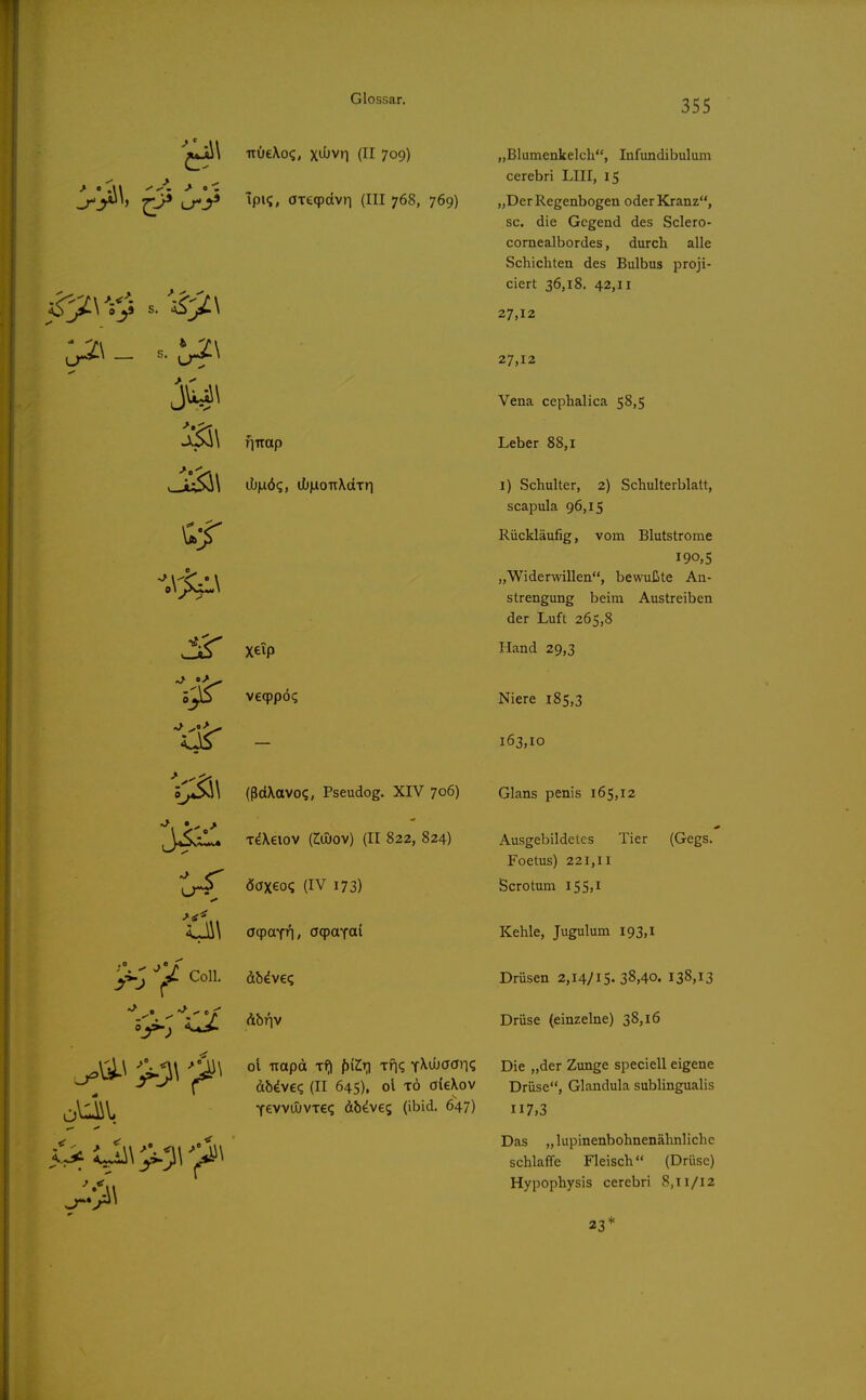 -rtücXo?, xwvri (II 709) £3* ^P'^' öTeqpdvn (III 768, 769) _ s. ^\ (jtj|Liö(;, iI))iioiT\dTri ,0 ^ %• A ^i.; y Coli 5!^ Tiuap „Blumenkelch, Infundibulum cerebri LIII, 15 „Der Regenbogen oder Kranz, sc. die Gegend des Sclero- cornealbordes, durch alle Schichten des Bulbus proji- ciert 36,18. 42,11 27,12 27,12 Vena cephalica 58,5 Leber 88,1 l) Schulter, 2) Schulterblatt, scapula 96,15 Rückläufig, vom Blutstrome 190,5 „Widerwillen, bewußte An- strengung beim Austreiben der Luft 265,8 Hand 29,3 Niere 185,3 163,10 l^ V€(ppÖ? ■'S - (ßdXavo?, Pseudog. XIV 706) Glans penis 165,12 T^Xeiov (Mov) (II 822, 824) öaxeo? (IV 173) Abr|v dbdve«; (II 645), ol t6 öieXov YevvwvTe? db^veg (ibid. 647) Ausgebildetes Tier (Gegs. Foetus) 221,11 Scrotum 155>l Kehle, Jugulum 193,1 Drüsen 2,14/15.38,40. 138,13 Drüse (einzelne) 38,16 Die „der Zunge speciell eigene Drüse, Glandula subungualis 117,3 Das „lupinenbohnenähnlichc schlaffe Fleisch (Drüse) Hypophysis cerebri 8,TI/I2 23*