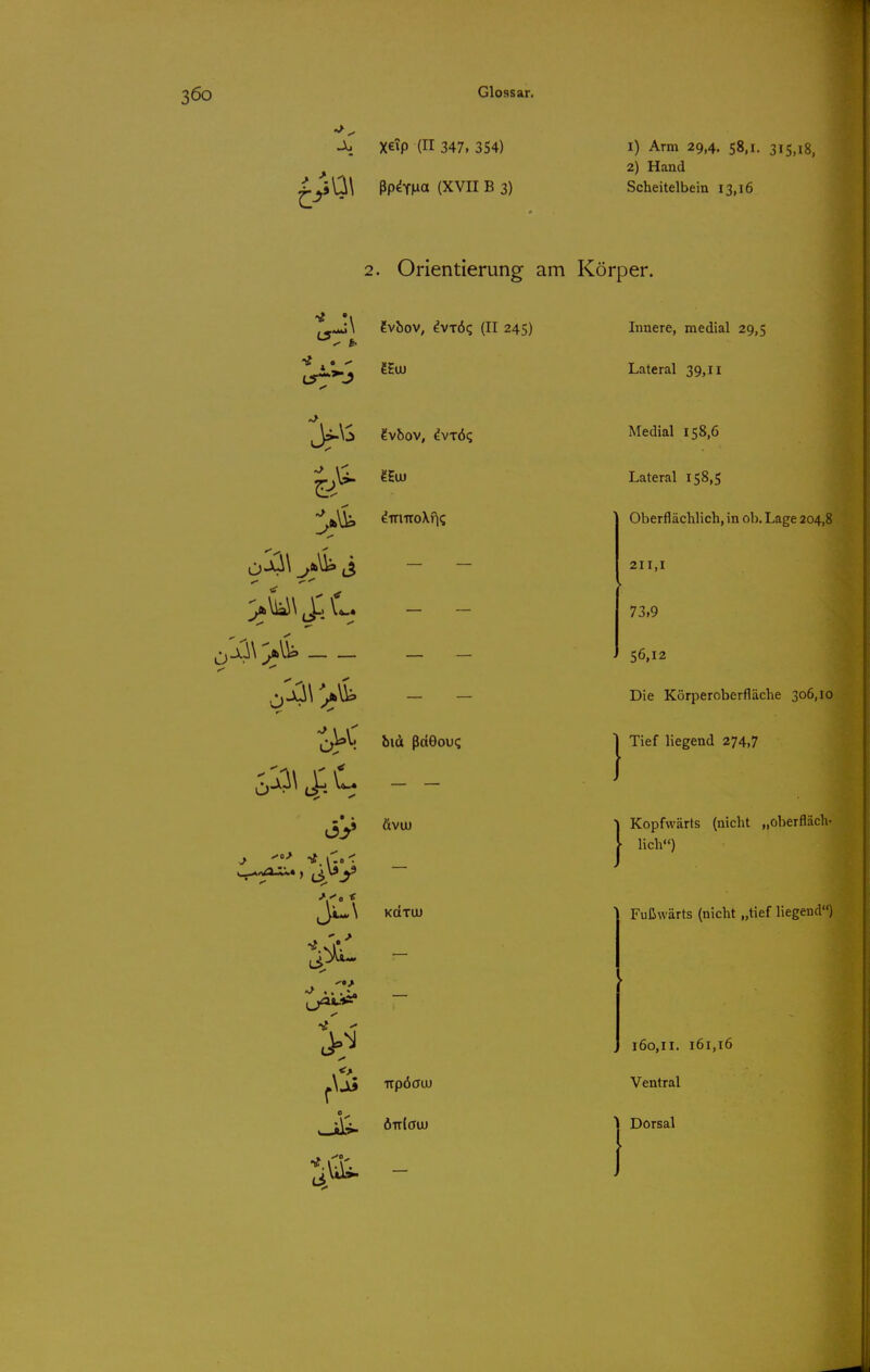 xeip (II 347, 354) ^yÜl ßp^TMO (XVII B 3) 1) Arm 29,4. 58.1. 315,18, 2) Hand Scheitelbein 13,16 2. Orientierung am Körper. ?vb0V, ^VTÖq (II 245) y fr Innere, medial 29,5 Lateral 39, n >i - > - ^\Jl5 irpöcro) Medial 158,6 Lateral 158,5 Oberflächlich, in ob. Lage 204,8 211,1 73,9 56,12 Die Körpereberfläche 306,10 Tief liegend 274,7 Kopfwärts (nicht „oberfläch- lich) Fußwärts (nicht „tief liegend) 160,11. 161,16 Ventral Dorsal