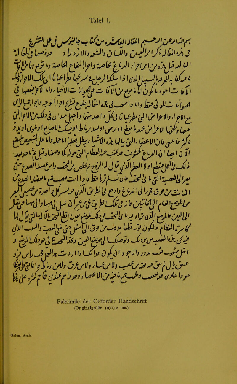 Faksimile der Oxforder Handschrift (Originalgröße I9XI2 cm.) Galen, Arab,