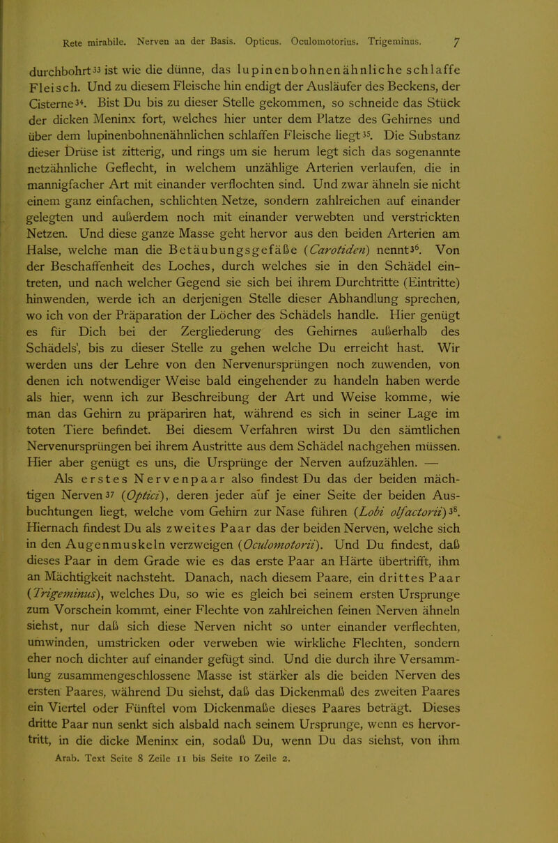 Rete mirabile. Nerven an der Basis. Opticus. Oculomotorius. Trigeminus. 7 durchbohrt33 ist wie die dünne, das lupinenbohnenähnliche schlaffe Fleisch. Und zu diesem Fleische hin endigt der Ausläufer des Beckens, der Cisterne34. Bist Du bis zu dieser Stelle gekommen, so schneide das Stück der dicken Meninx fort, welches hier unter dem Platze des Gehirnes und über dem lupinenbohnenähnlichen schlaffen Fleische liegt 35. Die Substanz dieser Drüse ist zitterig, und rings um sie herum legt sich das sogenannte netzähnliche Geflecht, in welchem unzählige Arterien verlaufen, die in mannigfacher Art mit einander verflochten sind. Und zwar ähneln sie nicht einem ganz einfachen, schlichten Netze, sondern zahlreichen auf einander gelegten und außerdem noch mit einander verwebten und verstrickten Netzen. Und diese ganze Masse geht hervor aus den beiden Arterien am Halse, welche man die Betäubungsgefäße {Carotiden) nennt3^. Von der Beschaffenheit des Loches, durch welches sie in den Schädel ein- treten, und nach welcher Gegend sie sich bei ihrem Durchtritte (Eintritte) hinwenden, werde ich an derjenigen Stelle dieser Abhandlung sprechen, wo ich von der Präparation der Löcher des Schädels handle. Hier genügt es für Dich bei der Zergliederung des Gehirnes außerhalb des Schädels', bis zu dieser Stelle zu gehen welche Du erreicht hast. Wir werden uns der Lehre von den Nervenursprüngen noch zuwenden, von denen ich notwendiger Weise bald eingehender zu handeln haben werde als hier, wenn ich zur Beschreibung der Art und Weise komme, wie man das Gehirn zu präpariren hat, während es sich in seiner Lage im toten Tiere befindet. Bei diesem Verfahren wirst Du den sämtlichen Nervenursprüngen bei ihrem Austritte aus dem Schädel nachgehen müssen. Hier aber genügt es uns, die Ursprünge der Nerven aufzuzählen. — Als erstes Nervenpaar also findest Du das der beiden mäch- tigen Nerven37 {Optici), deren jeder auf je einer Seite der beiden Aus- buchtungen liegt, welche vom Gehirn zur Nase führen {Lobi olfactorii) 3^. Hiernach findest Du als zweites Paar das der beiden Nerven, welche sich in den Augenmuskeln verzweigen {Oculomotorii). Und Du findest, daß dieses Paar in dem Grade wie es das erste Paar an Härte übertrifft, ihm an Mächtigkeit nachsteht. Danach, nach diesem Paare, ein drittes Paar {Trigeminus)^ welches Du, so wie es gleich bei seinem ersten Ursprünge zum Vorschein kommt, einer Flechte von zahlreichen feinen Nerven ähneln siehst, nur daß sich diese Nerven nicht so unter einander verflechten, umwinden, umstricken oder verweben wie wirkliche Flechten, sondern eher noch dichter auf einander gefügt sind. Und die durch ihre Versamm- lung zusammengeschlossene Masse ist stärker als die beiden Nerven des ersten Paares, während Du siehst, daß das Dickenmaß des zweiten Paares ein Viertel oder Fünftel vom Dickenmaße dieses Paares beträgt. Dieses dritte Paar nun senkt sich alsbald nach seinem Ursprünge, wenn es hervor- tritt, in die dicke Meninx ein, sodaß Du, wenn Du das siehst, von ihm