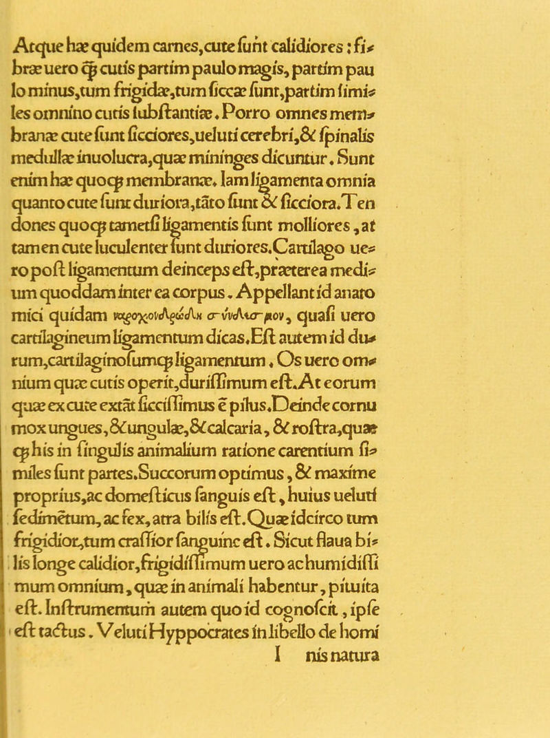 Atqiie hx quidem camcs,cute (unt calidiores: fjV hrx uero ^ cuus partun paulo magjs, partim pau lo minuSjtum frigida?,tum ficca? iunr,pattim fimi* les omnino curis lubftantiac ♦ Porro omnes mem^ brana! cutefont Ccdores^ueluti cerebrj,8^ fpinalis mcdii]teinuoluCTa,quaE mininges dicutttur, Sunt enim ha? quocp meinbrana?* lam l^amenta omnia quanto cute iunc dur iora,tato fiint ficdora.Ten dones quoc^tametfjligamentis fum molliores ,at tamen cute luculenter nint diuriores.Carulago ucss ropofl: l^mentum deinceps eft,pra^erea mcdi;? uin quoddam inter ea corpus. Appellant id anaro mid quidam wx^oviAgoccAx o-vi/(At£r/iov, quafi uero camlagineum L^amentum dicas«E/l autem id du^ rum,cartilaginofumcpI^amentimi«Os uero onv nium quas cutis operit,«3uriflimum eft. At eorum quae ex cute extat ficdffimus e pihis«Deinde cornu moxungues,&ungulaE,8^calcaria, 8^roftra,qu» ^hisin fingiilis animalium rationecarenrium fis» miles fiint partcs.Succorum oprimus, & maximc proprius,ac domeftiais (anguis eft, huius ueluri fedinetum, ac fex, atra bilis eft.Quseidcirco tum frigidiot,tum crafTior fanguinc cft ♦ Sicut fiaua bi* '. lis longe caUdior,fiigidifumum uero achumidiffi mum omnium, quae in animali habcntur, piiuita eft. Inftrumentum autera quoid cognofcii, ipie • cft tacflus. Veluti Hyppod^tes inlibcllo de homi I nisnatura