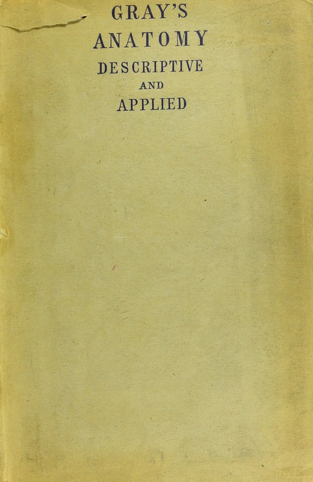 digitised image 1