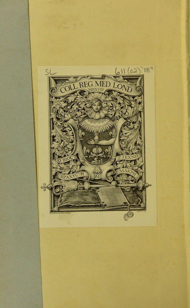 digitised image 2