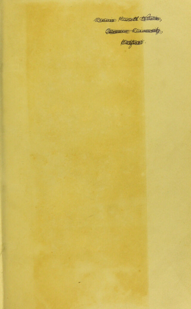 digitised image 3