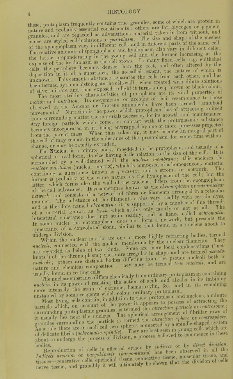 these protoplasm frequently contains true granules, some of which are protem in natSe^andSably^^^^ constituents; others are fat, glycogen or pigment Sra mles and arc regarded as adventitious material taken in from without, and hencrai'e Sled cell inclusions or paraplasm.. The s>ze and shape of the meshes of the sponSasm vary in different cells and in different parts of the same ce 1 The icht^ve^amounts of spongioplasm and hyaloplasm also vary m different cells ; the iXr prponderatiig in the young cell and the former increasing at the the latter F^p°nQL^^^^ j b ^ ^^^^ epithelial XThe' per pW^b 0^^^^^ the rest.'and often altered by the cells, tne P^e^ipnery so-called cement, the nature of which is deposition in t «^ ^^^^^^ the cells from each other, and has unknown, ^lus cement substa^^^^ ^^^^ ^^^^^ solutions ofs1l^:rnit Se^ri^CS^ it tums a deep brown or black colour The mist^^^^^^^^ characteristics of protoplasm are its vital properties of ArfoTern paxtiSe which comes in contact with the protoplasmic substance tlTcell or maTremain in the substance of the protoplasm for some time without ^'Te Ss'fsTStf llot'imbedded in the protoplasm, and usually of a containing a substance known as f ^ ^'^tlS'Z of thrSn ^ but the former is probably of tl^e^^^^ fiat-x. as t^^^^^^ 'spoAgioplasm latter, which forms also tJ^J^^ . ^^^^^^^^^^^ ovintmnuclear of the cell substance. It is sometimes ™own arranged in a reticular network, ^-^^^or^^J^ y^Ti^^J^TtZ^^^^^^^^ TdTthelforr^amrd^W^^^^^^ it is supported by a mimber of^^^^^^^^^^^^^ S a material known as linin -l^^^J^ °f/d ^fh nc cd ed acl,nS interstitial substance does not «ta^^^f ^^^J.^m a neS, but presents the S,=ncro^^^^^^^^^^ - ^ ^TMnrnuclear matrix are one or more ^^^^^^''^ nueleoU, connected .with the nr.^^^^^^ Xme r^iie^e^cd ro^idtsati^ ('net- are regarded as bemg °f f i^^^^'ular in shape and are termed psettdo- knots') of the chromopksm these are m^^^^^ P pseudo-nucleoU both in nucleoli; others are drstinct bodies dittermg 1 ^^^.^ nature and chemical composition ; they may be termtt usuaUy found in resting cells. , . r ordinary protoplasm in containing =i-r-t^Sft:^^^ parSS^^S^o^f^ap^^^^ Lrrounding protoplasmic grpl^^'^.^J'' ^eri al ^ pg ^eiit of fibrillar ro.. of it usuaUy Ues near the nucleus ^^^^ ^PfT'JJ^ Ztraction sphere or centrosphere. granules surrounding the particle ^..^^ system As a rule there are in each cell two «Pb^y*17^,X*t ^een in young cells which are of delicate fibrils (achromatrc ''P^f tin^ fpr^ce f bSed to commence in these about to undergo the process of division, a process hoddSB. „ . ». ^ J hv indired. or by direct division.