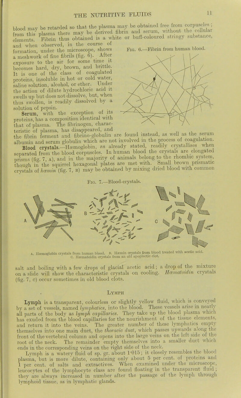 blood may be retarded so that the plasma may be obtained free from coU^usc es from th s plasma there may be derived fibrin and scrum, without the cellulai elements FibSn thus obtained is a white or l.uff-coloured stringy substance, and when observed, in the course of , , , , formation under the microscope, shows Fig. 6.—Fibrin from human blood, a mesh work of fine fibrils (fig. 6). After exposure to the air for some tune it becomes hard, dry, brown, and bnttle. It is one of the class of coagulated protems, insoluble in hot or cold water, saUne solution, alcohol, or ether. Under the action of dilute hydrochloric acid it swells up but does not dissolve, but, when thus swollen, is readily dissolved by a solution of pepsin. Serum, with the exception of its proteins, has a composition identical with that of plasma. The fibrinogen, charac- teristic of plasma, has disappeared, and , , . , „ the fibrin ferment and fibrino-globulin are found instead, as well as the serum albumin and serum globuUn which are not involved in the process of coagulation. Blood crystals.—HaBmoglobin, as already stated, readily crystallises when separated from the blood corpuscles. In human blood the crystals are elongated pnsms (fi 7 a), and in the majority of animals belong to the rhombic system, though in the squirrel hexagonal plates are met with. Small brown prismatic crystals of hwmin (fig. 7, b) may be obtained by mixing dried blood with common Fig. 7.—Blood-crystals. B A. Hiemoglobm crystals from human blood. li. Uipmin crystals from blood treated with acetic acid. C. na;matoidin crystals from an old apoplectic clot. salt and boiling with a few drops of glacial acetic acid; a drop of the mixture on a slide will show the characteristic crystals on cooling. HcBmatoidm crystals (fig. 7, o) occur sometimes in old blood clots. Lymph Lymph is a transparent, colourless or sUghtly yellow fluid, whicli is conveyed by a set of vessels, named lymphalics, into the blood. These vessels arise in nearly all parts of the body as lymfh ca'pillaries. They take up the blood plasma which has exuded from the blood capillaries for the nourishment of the tissue elements, and return it into the veins. The greater number of these lymphatics empty themselves into one main duct, the thoracic duel, which passes upwards a.ong the fi-ont of the vertebral column and opens into the largo veins on the left side of root of the neck. The remainder empty themselves into a smaller duct which ends in the corresponding veins on the right side of the neck. Lymph is a watery fluid of sp. gr. about 1-015; it closely resembles the blood plasma, but is more dilute, containing only about 5 per cent, of proteins and 1 per cent, of salts and extractives. When examined under the microscope, leucocytes of the lymphocyte class are found floating in the transparent fluid; they are always increased in number after the passage of the lymph through lymphoid tissue, as in lymphatic glands.