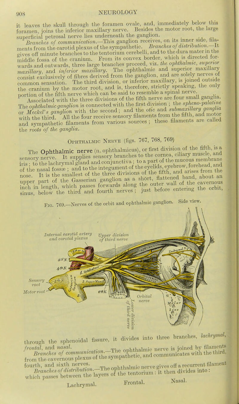 it leaves the skuU through the foramen ovale, and, immediately below this foramen, joins the inferior maxillary nerve. Besides the motor root, the large superficial petrosal nerve lies underneath the ganglion. •, Branches of communication.—Th:\s ganglion receives, on its inner side, falar ments from the carotid plexus of the sympathetic. Branches of distribution.—\.t aives off minute branches to the tentorium oerebelli, and to the dura mater in tlie midcUe fossa of the cranium. From its convex border, which is directed for- wards and outwards, three large brandies proceed, viz. the ophthalmic, superior maxillary, and inferior maxillary. The ophthalmic and superior maxillary consist exclusively of fibres derived from the ganghon, and are solely nerves of common sensation. The third division, or inferior maxiUary, J^^f^^ outside the cranium by the motor root, and is, therefore, strictly speakmg, the only portion of the fifth nerve which can be said to resemble a spinal nerve ^ Assoc ated with the three divisions of the fifth nerve are four small gangha. The o^SSc ga^^lion is connected with the first division ; the sp^no-^aM^ne or iMeckeVs ganglion with the second; and the otic and '^^^^^^^'^^^ with the third. All the four receive sensory filaments from the fifth, and motor and sympathetic filaments from various sources; these filaments are called the roots of the ganglia. Ophthalmio Nekve (figs. 767, 768, 769) The Oohthalmic nerve (n. ophthalmicus), or first division of the fifth, is a sensorv ne?ve lT supplies sensory branches to the cornea, cihary muscle and LrTJtre lachrymal fland and conjunctiva ; to a part of tl^^ and o th nSIsll fossl ; a^d to the integument of the J^^^^ds ^^^^^^^^ nn^P It is the smallest of the three divisions of the fifth, and aiises irom Fie. 769.—Nerves of the orbit and ophthalmic ganglion. Side view Internal carotid artery jjppgy division and carotid lAexus nerve Sensory root Motor root through the sphenoidal fissure, it divides into three branches, la*y,«at, frontal, and nasal. . nnhthalmic nerve is joined by filaiiionts ''n'rr;is»..-Theo.^^^^ which passes between the layers of the tentouum . Lachrymal. Frontal. Nasal.