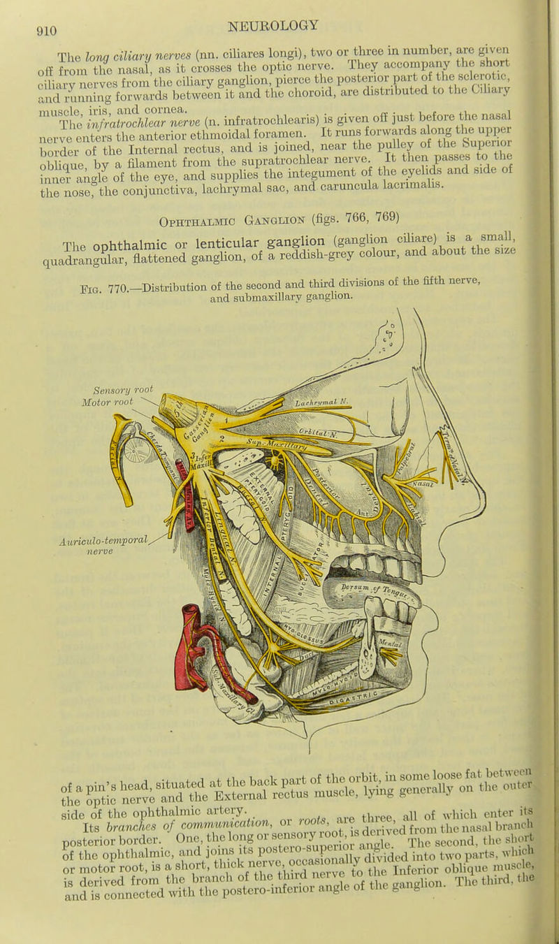 The long ciliary nerves (nn. ciliares longi), two or three m number, are g.ven off from the nasal, as it crosses the optic nerve. They accompany the sh rt ciliary nerves from the ciliary ganglion, pierce the posterior part of the sclerot^^^^ and running forwards between it and the choroid, are distributed to the Chary tIS ^^;toiLrS;.. (n. mfratroel^learis) is given off just before tire nasal nerve enters the anterior ethmoidal foramen. It runs forwards along the upj^er Wer of the Internal rectus, and is joined, near the pulley of the feuperior obUque by a fflament from the supratrochlear nerve It then passes to the ?nner aAgb of the eye, and supplies the mtegument o the eyelids and side of the noLrthe conjunctiva, lachrymal sac, and caruncula lacrimahs. OPHTHAI.MIC Ganglion (figs. 766, 769) Tlip onhthalmic or lenticular ganglion (ganglion cihare) is a small, quallSrgSar flaTteU ganglion, of S reddish-grey colour, and about the size 770.-Distribution of the second and third divisioas of the fifth nerve, and submaxillary ganglion. Sensory root Motor root Aiiriculo-iemporal nerve side of the ophthalmic artery. ^ ^ ^^,,^^^1^ enter its Its bra7iches '^tot is derived from the nasal branch posterior border. One the long or «f ^ .^^d^^ The second, tlie short of the ophthalmic, and joins its PO^^^^^-^IXSod into two parts, winch or motoi root, is a short, t^^ok nerve, oceamo^^^^^ e, S^i^ tmSt-r^^^^^ ''''''